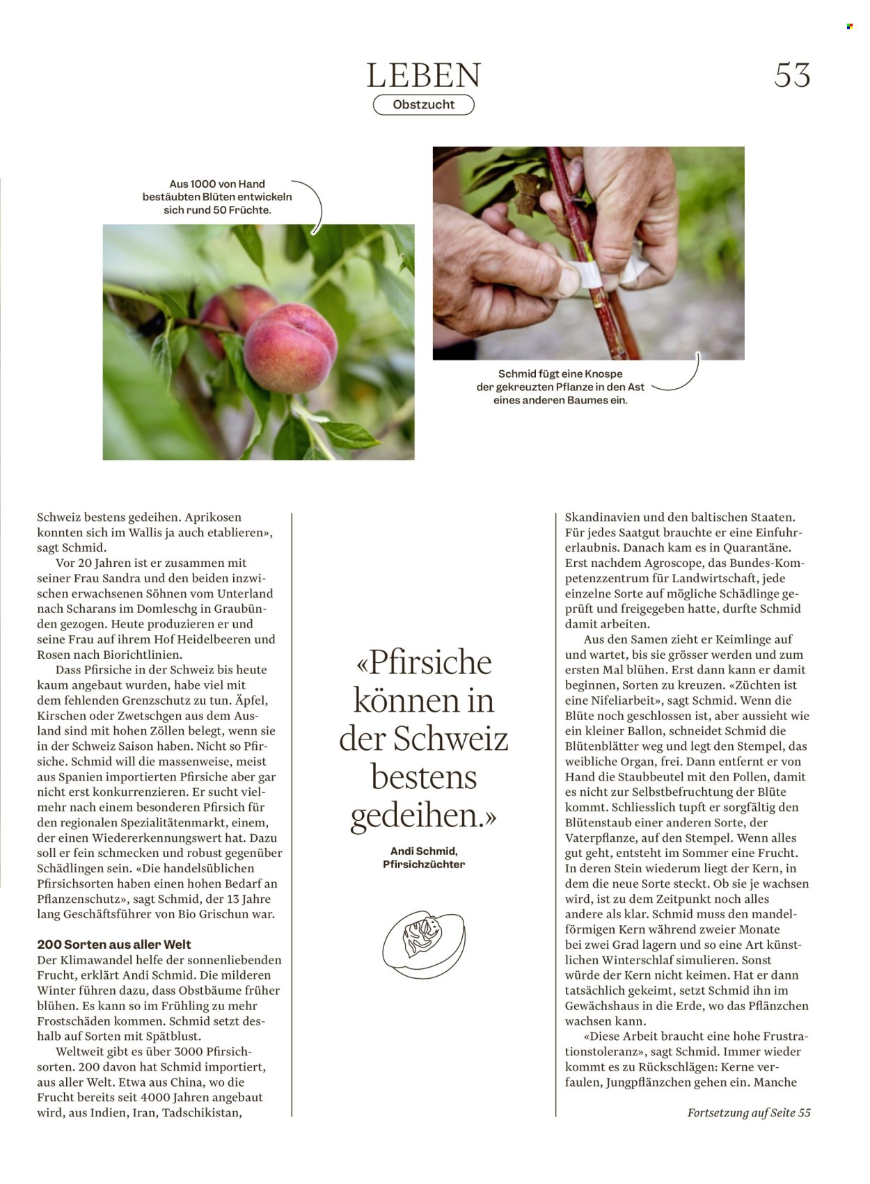Catalogue Migros - 12.8.2025 - 18.8.2025. Page 53. Page 53