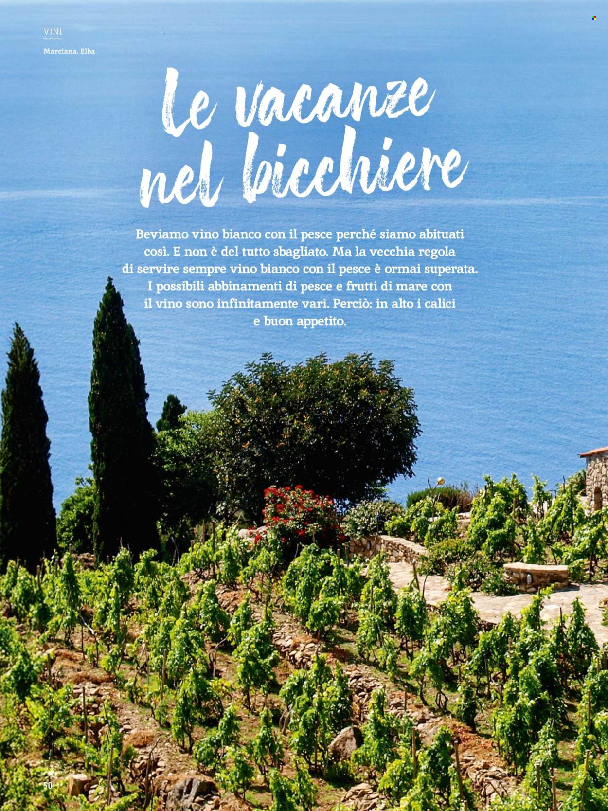 Catalogue Coop - 1.8.2025 - 31.8.2025. Page 50. Page 50