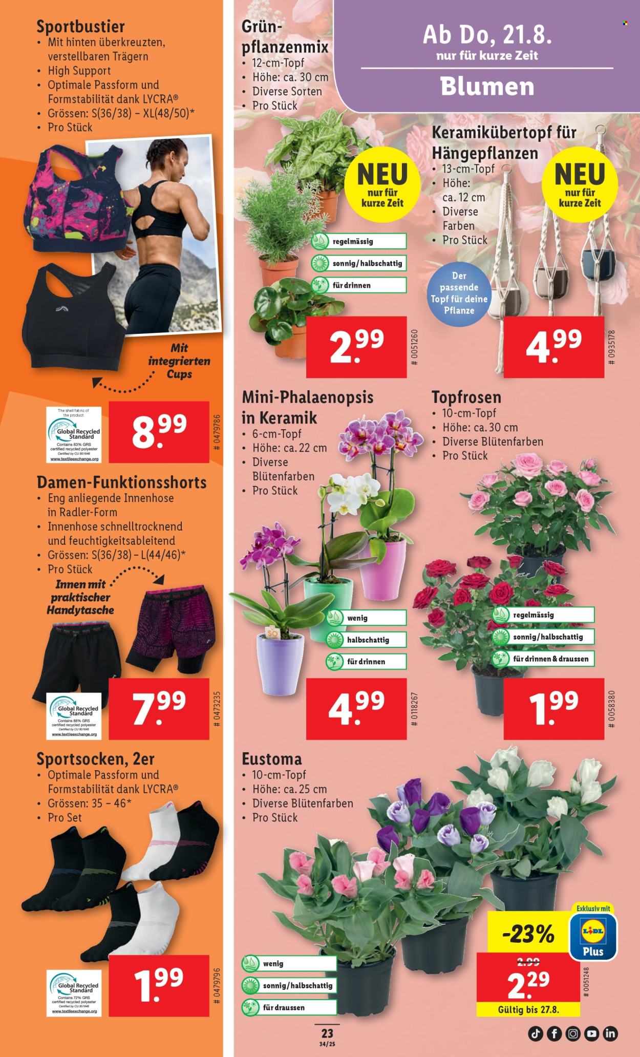 Catalogue Lidl - 21.8.2025 - 27.8.2025. Page 25. Page 25