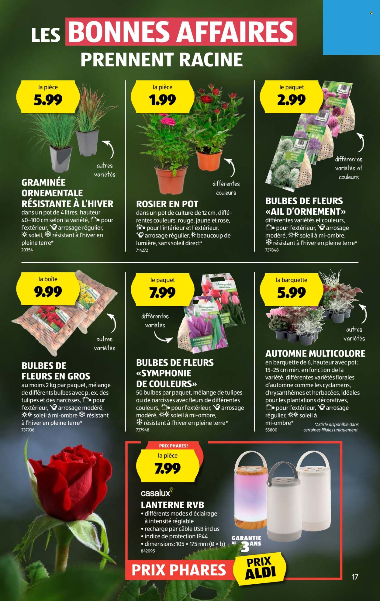 Catalogue Aldi - 28.8.2025 - 3.9.2025. Page 17. Page 17
