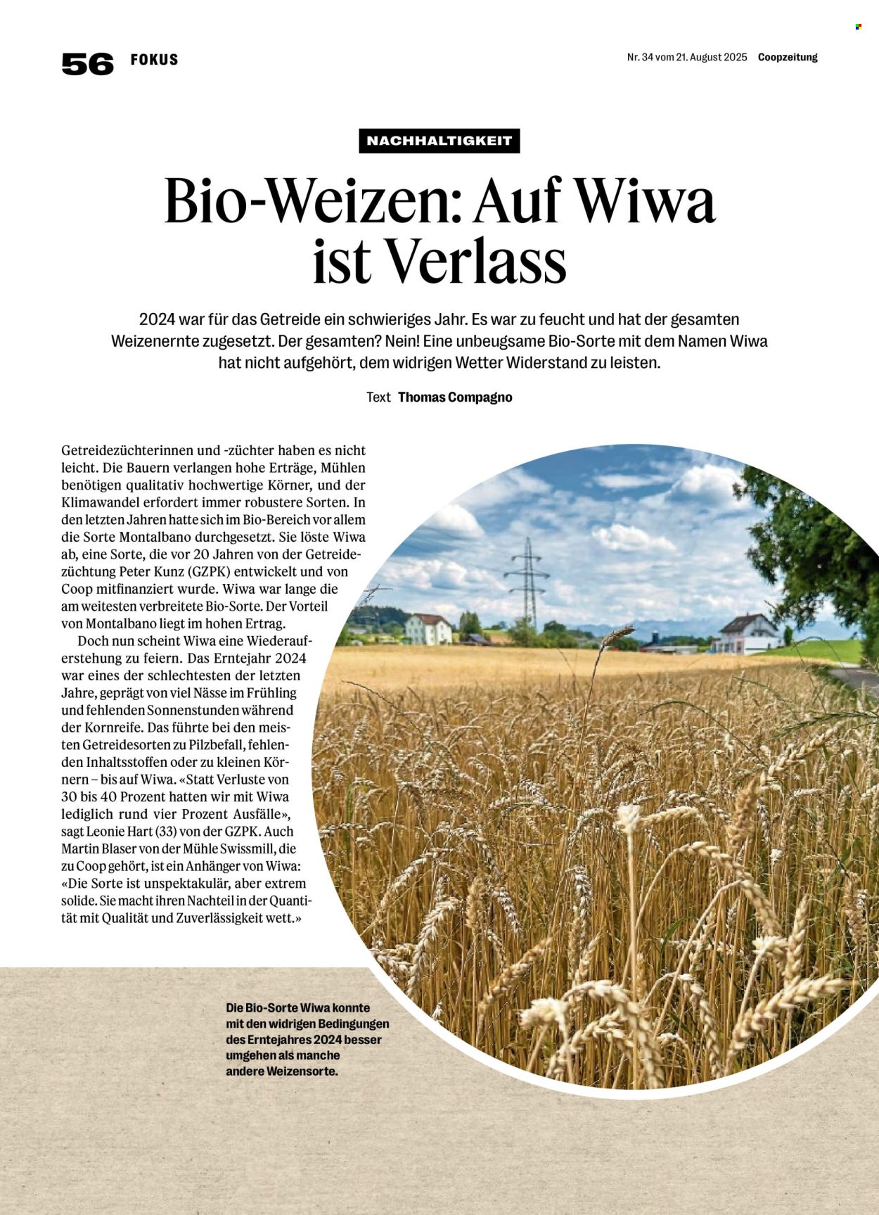 Catalogue Coop - 21.8.2025 - 27.8.2025. Page 56. Page 56