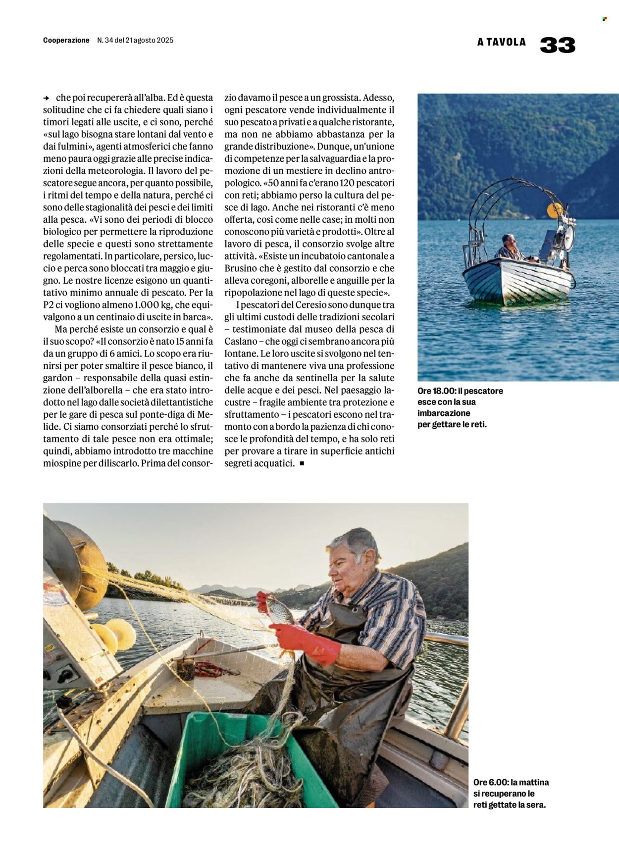 Catalogue Coop - 21.8.2025 - 27.8.2025. Page 33. Page 33