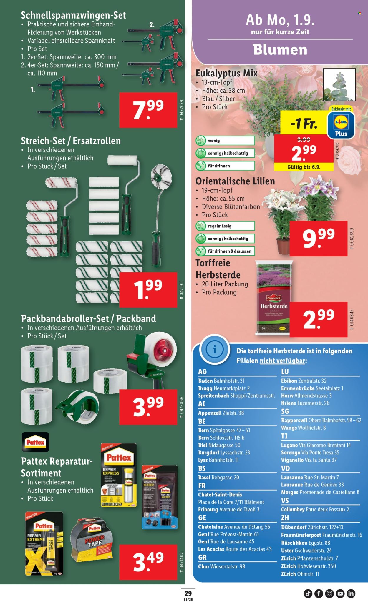 Catalogue Lidl - 28.8.2025 - 3.9.2025. Page 31. Page 31