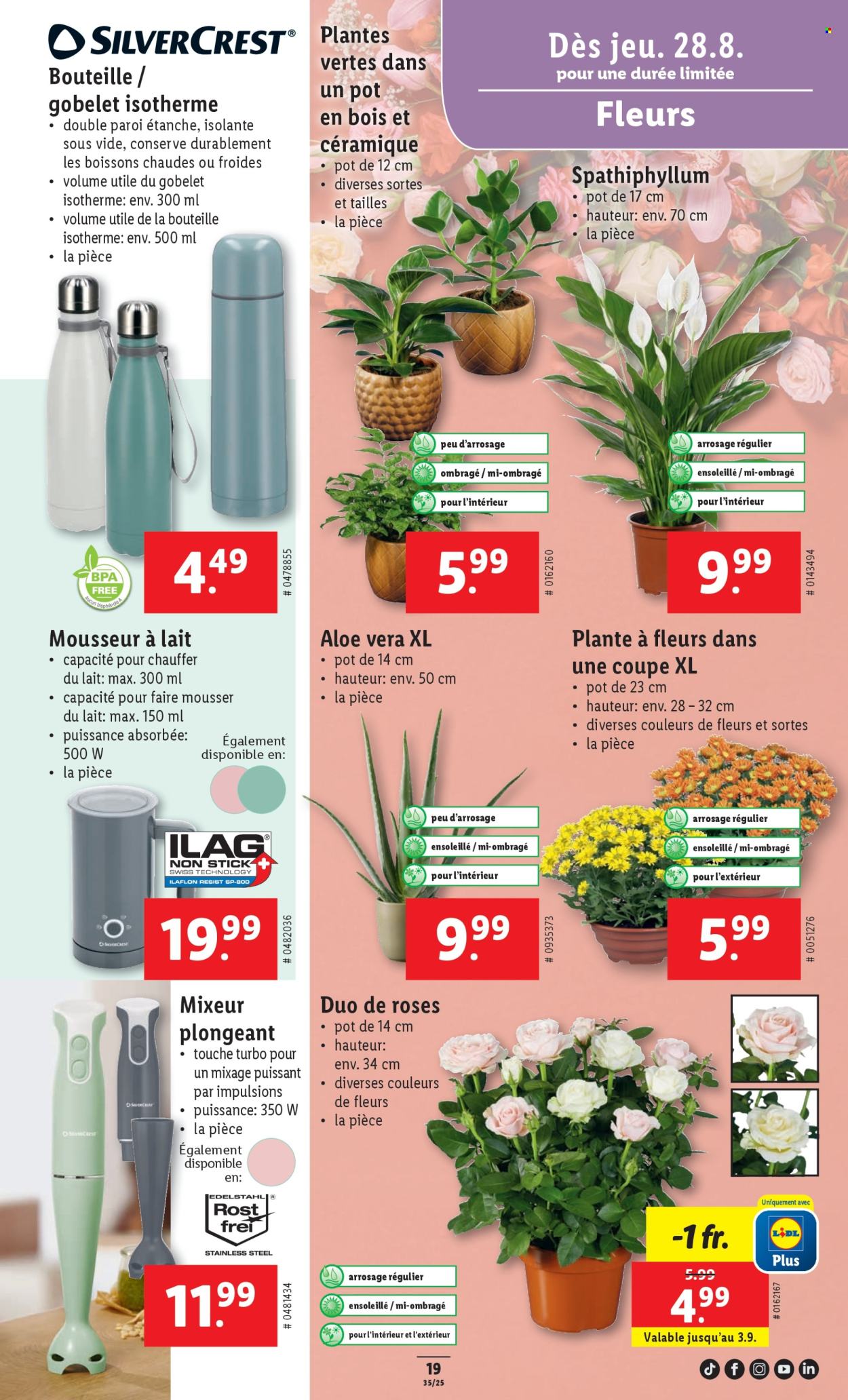 Catalogue Lidl - 28.8.2025 - 3.9.2025. Page 21. Page 21