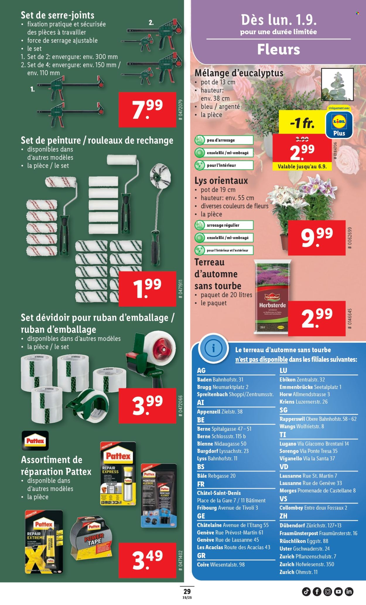 Catalogue Lidl - 28.8.2025 - 3.9.2025. Page 31. Page 31