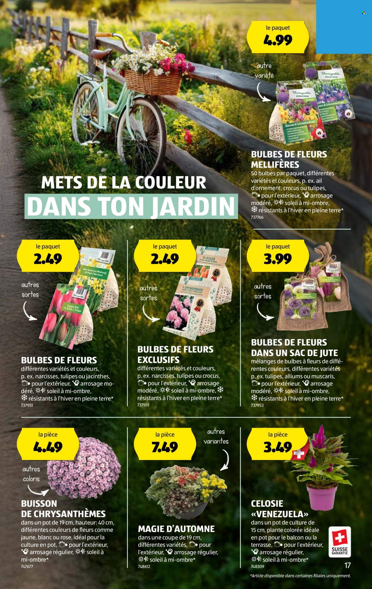 Catalogue Aldi - 4.9.2025 - 9.9.2025. Page 17. Page 17