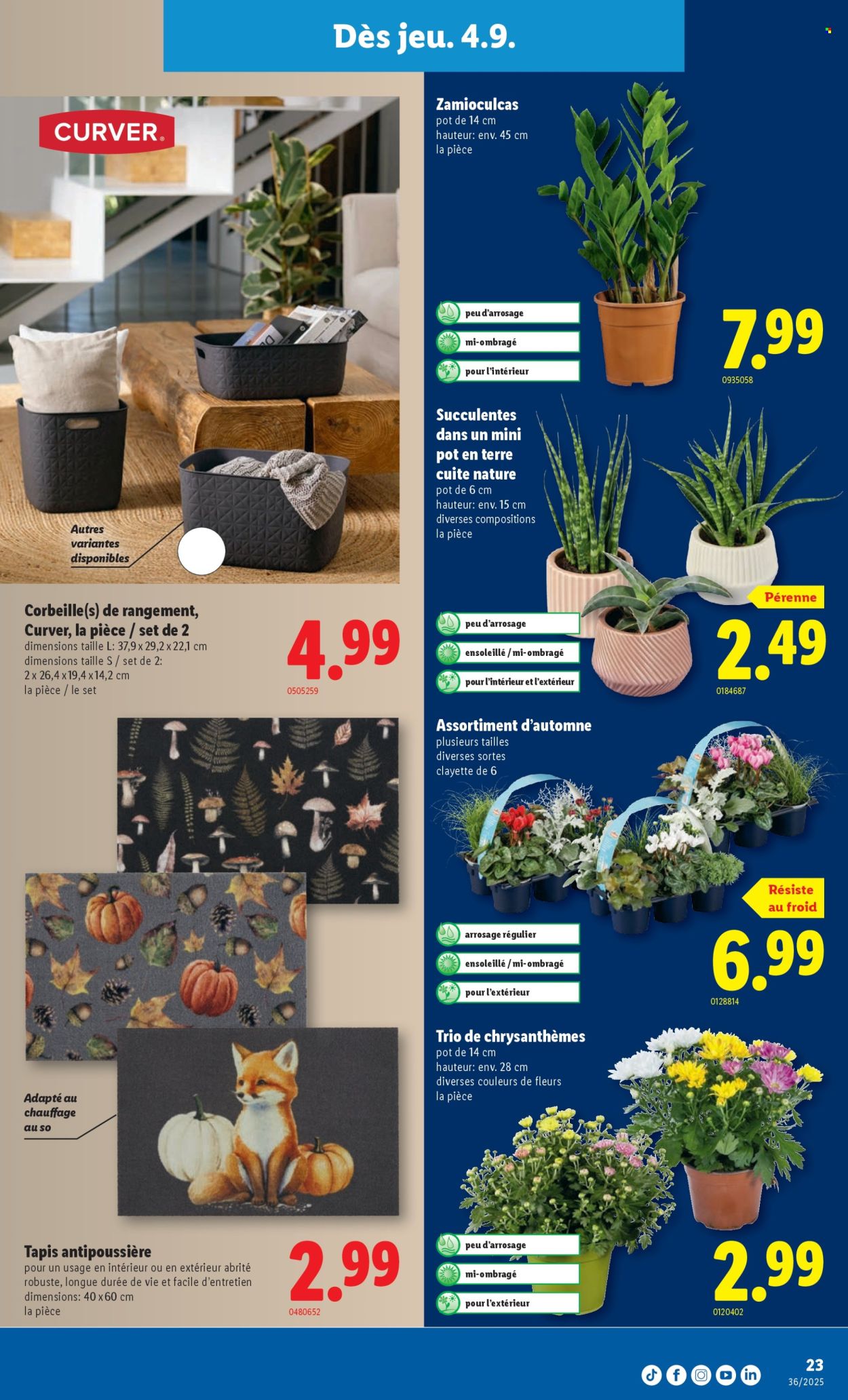 Catalogue Lidl - 4.9.2025 - 10.9.2025. Page 25. Page 25