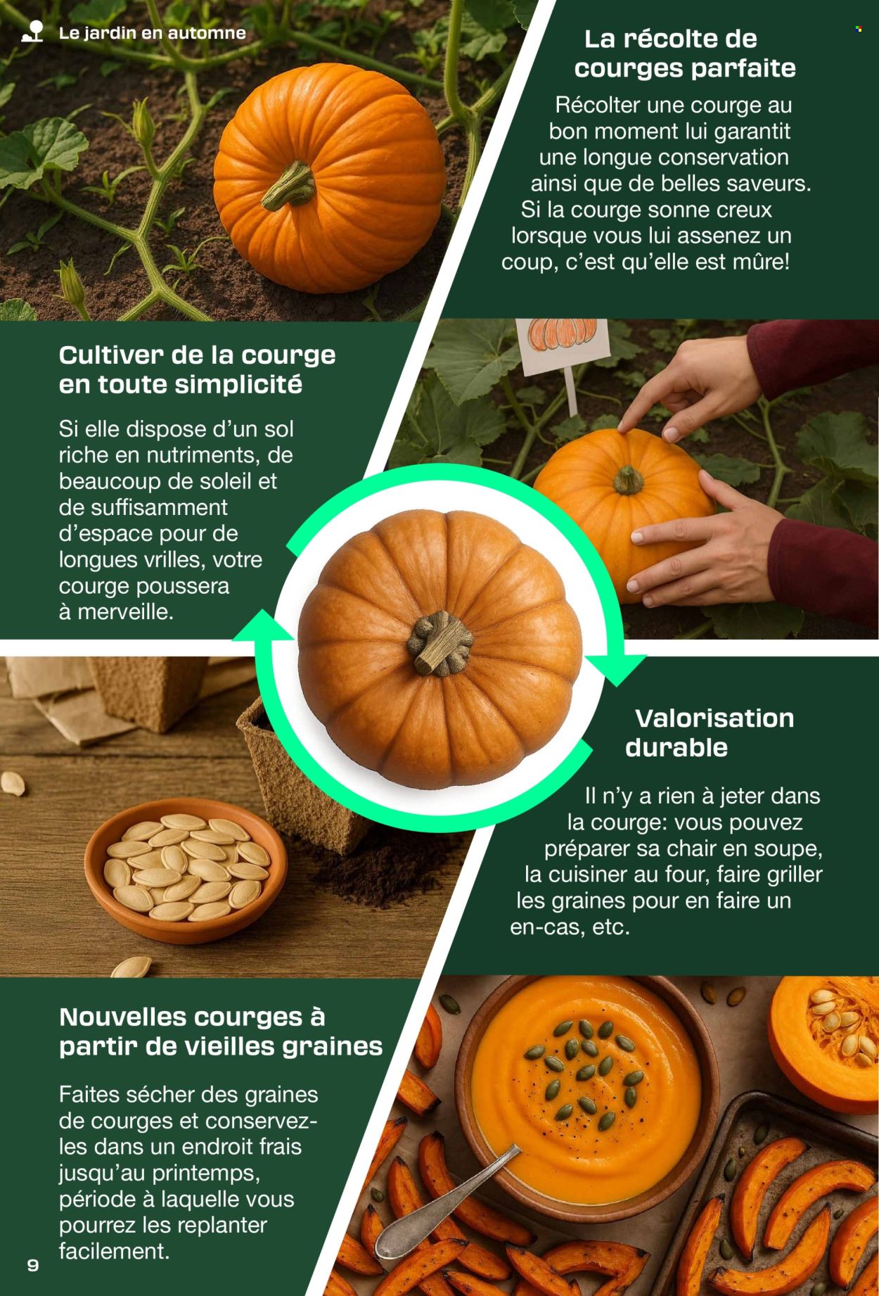 Catalogue Lidl. Page 9. Page 9