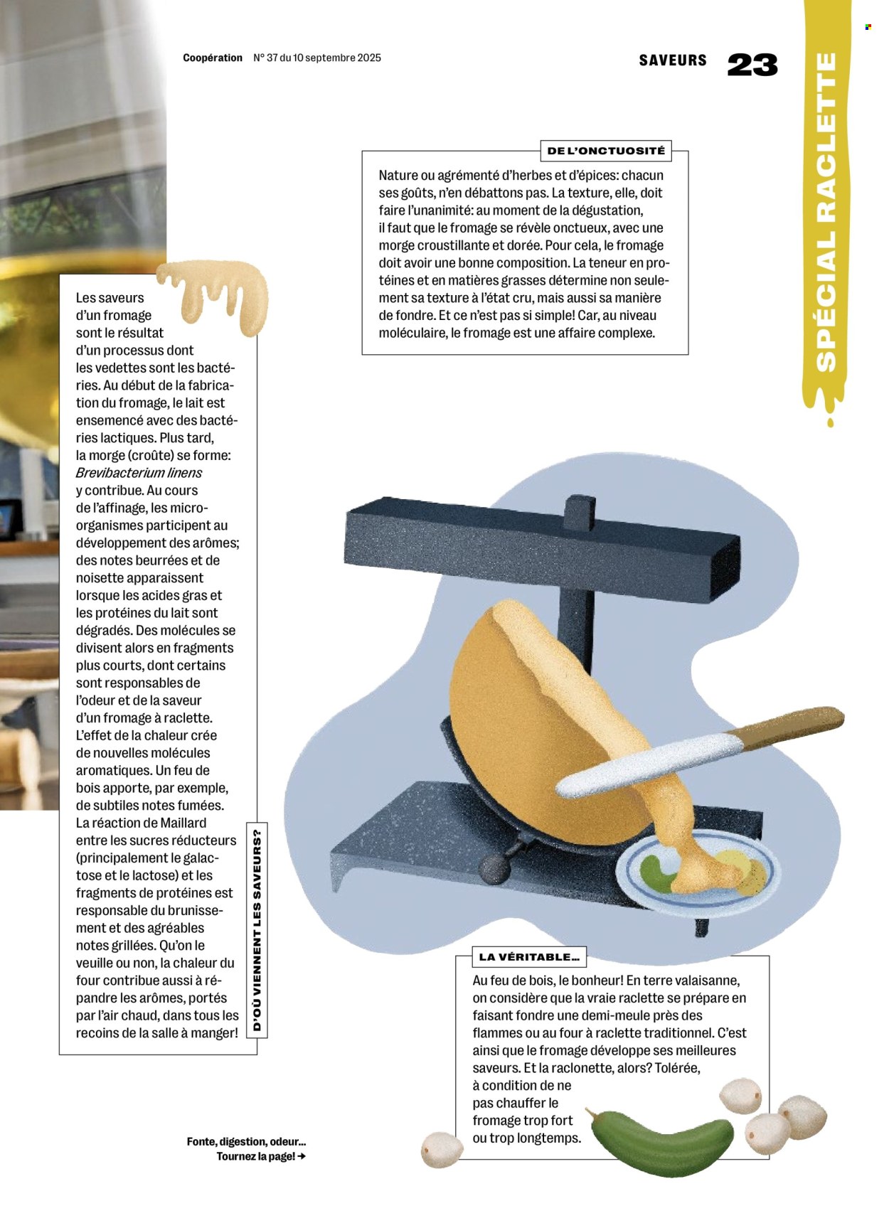 Catalogue Coop - 11.9.2025 - 17.9.2025. Page 23. Page 23