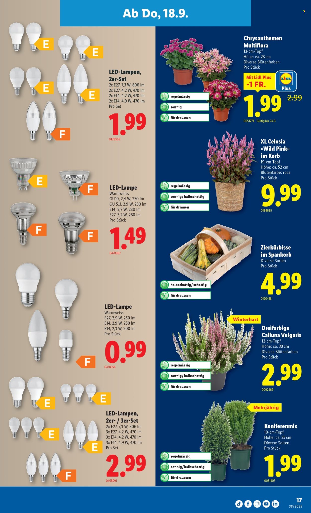 Catalogue Lidl - 18.9.2025 - 24.9.2025. Page 17. Page 17