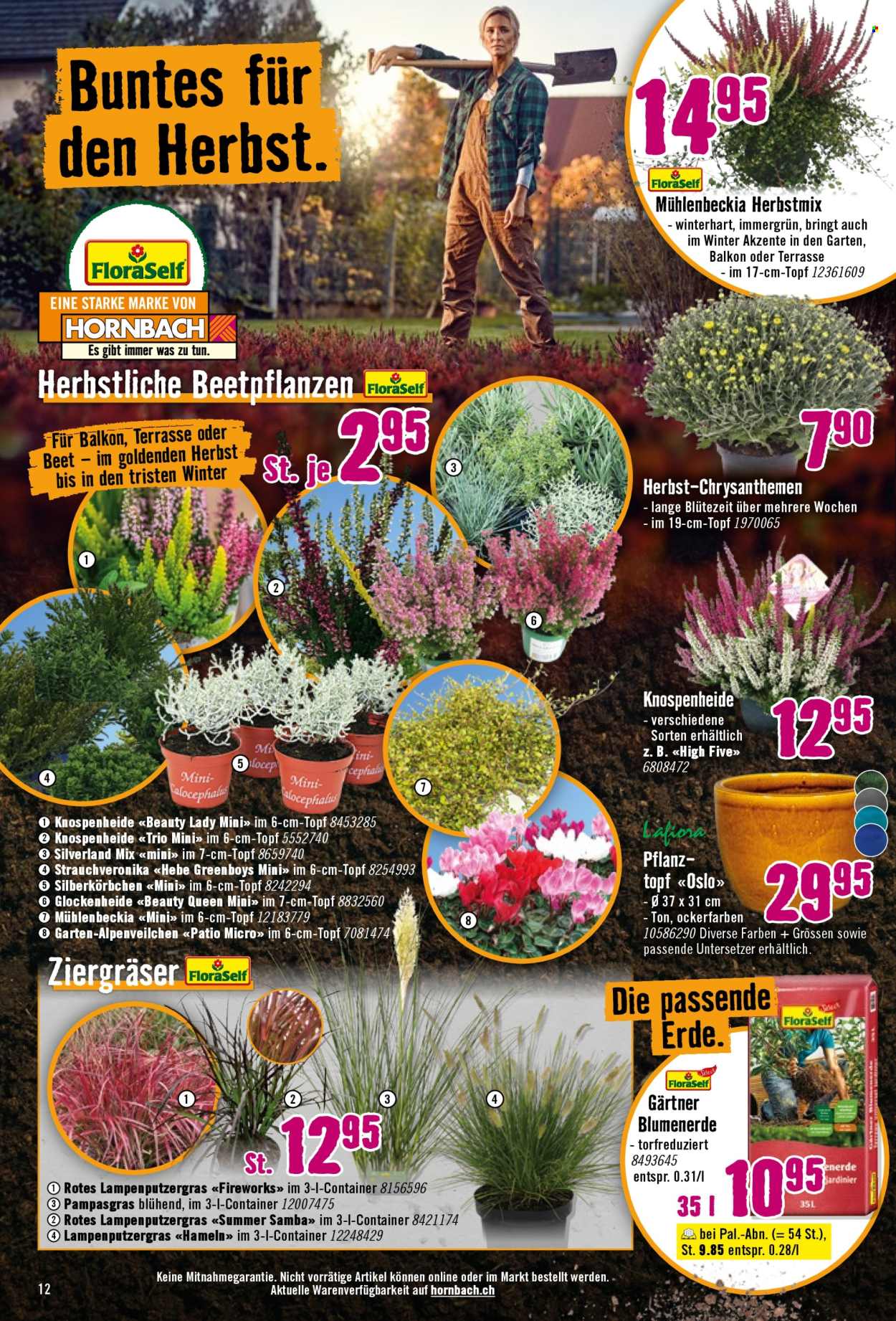 Catalogue Hornbach - 16.9.2025 - 13.10.2025. Page 12. Page 12