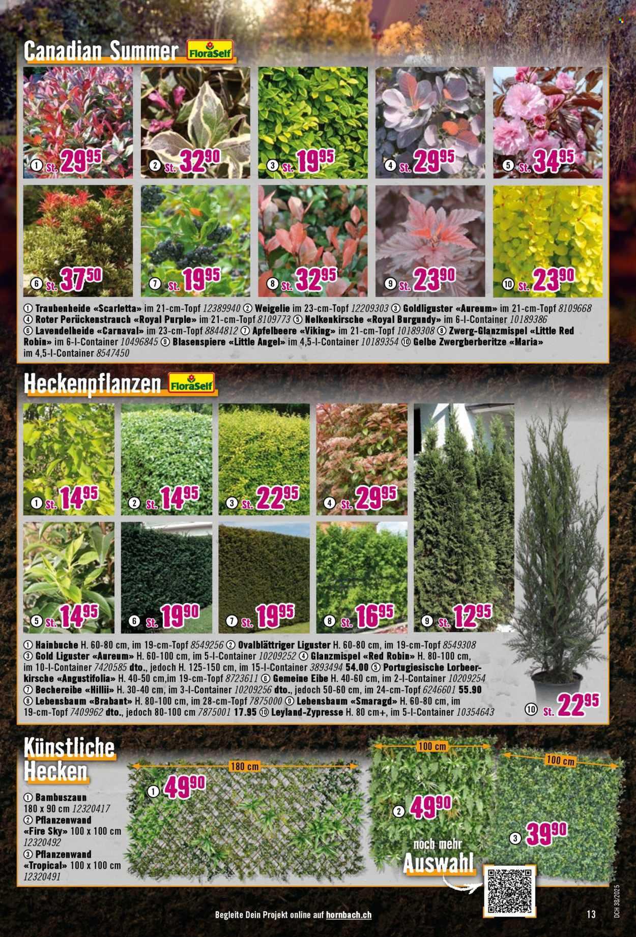 Catalogue Hornbach - 16.9.2025 - 13.10.2025. Page 13. Page 13