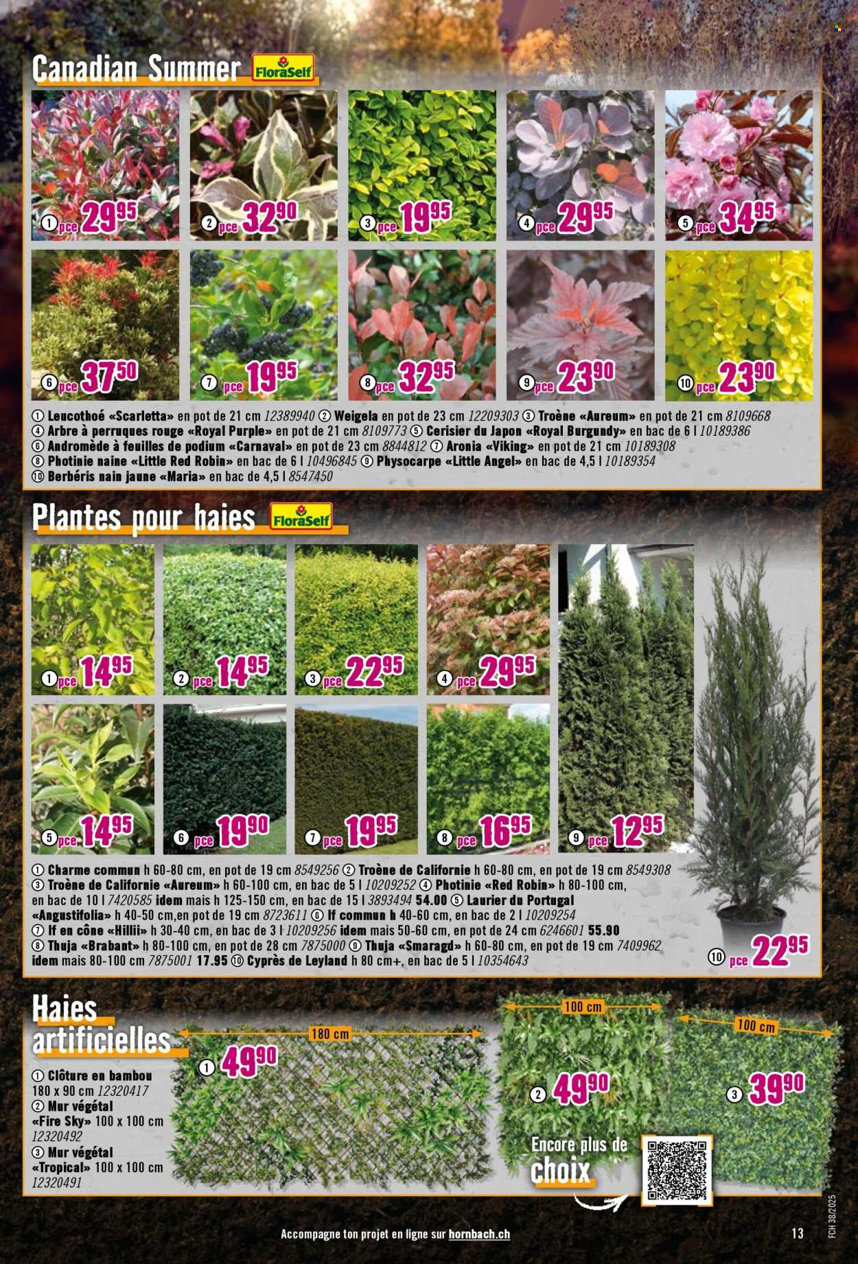 Catalogue Hornbach - 16.9.2025 - 13.10.2025. Page 13. Page 13