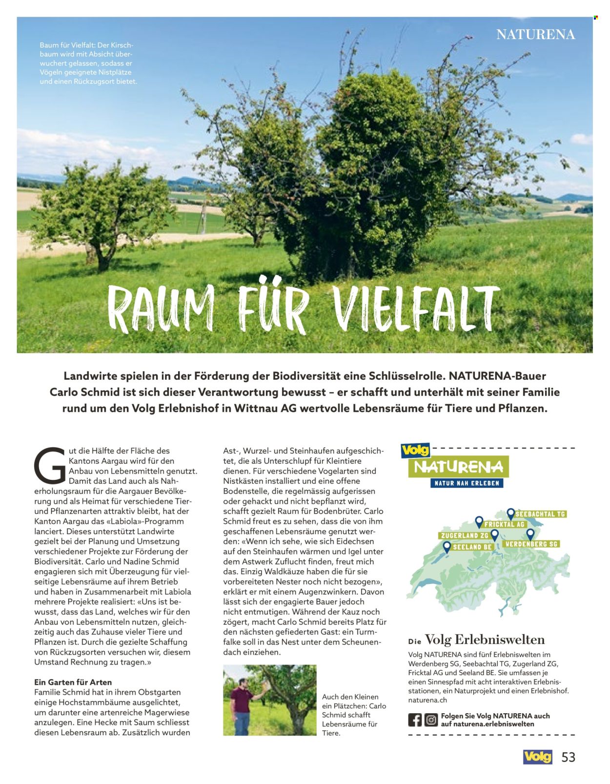 Catalogue Volg - 1.10.2025 - 31.10.2025. Page 53. Page 53
