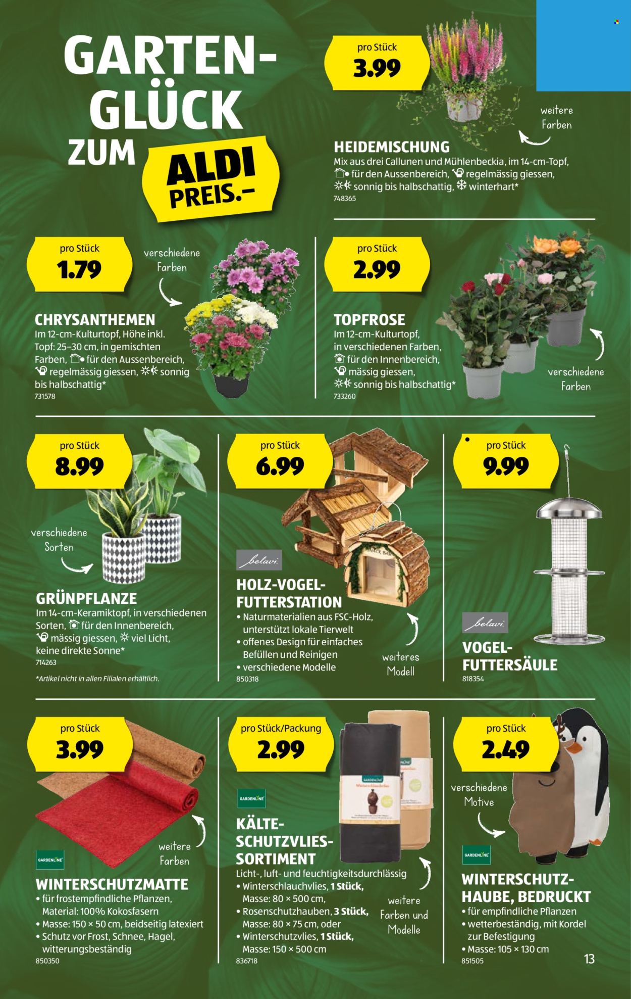 Catalogue Aldi - 16.10.2025 - 22.10.2025. Page 13. Page 13