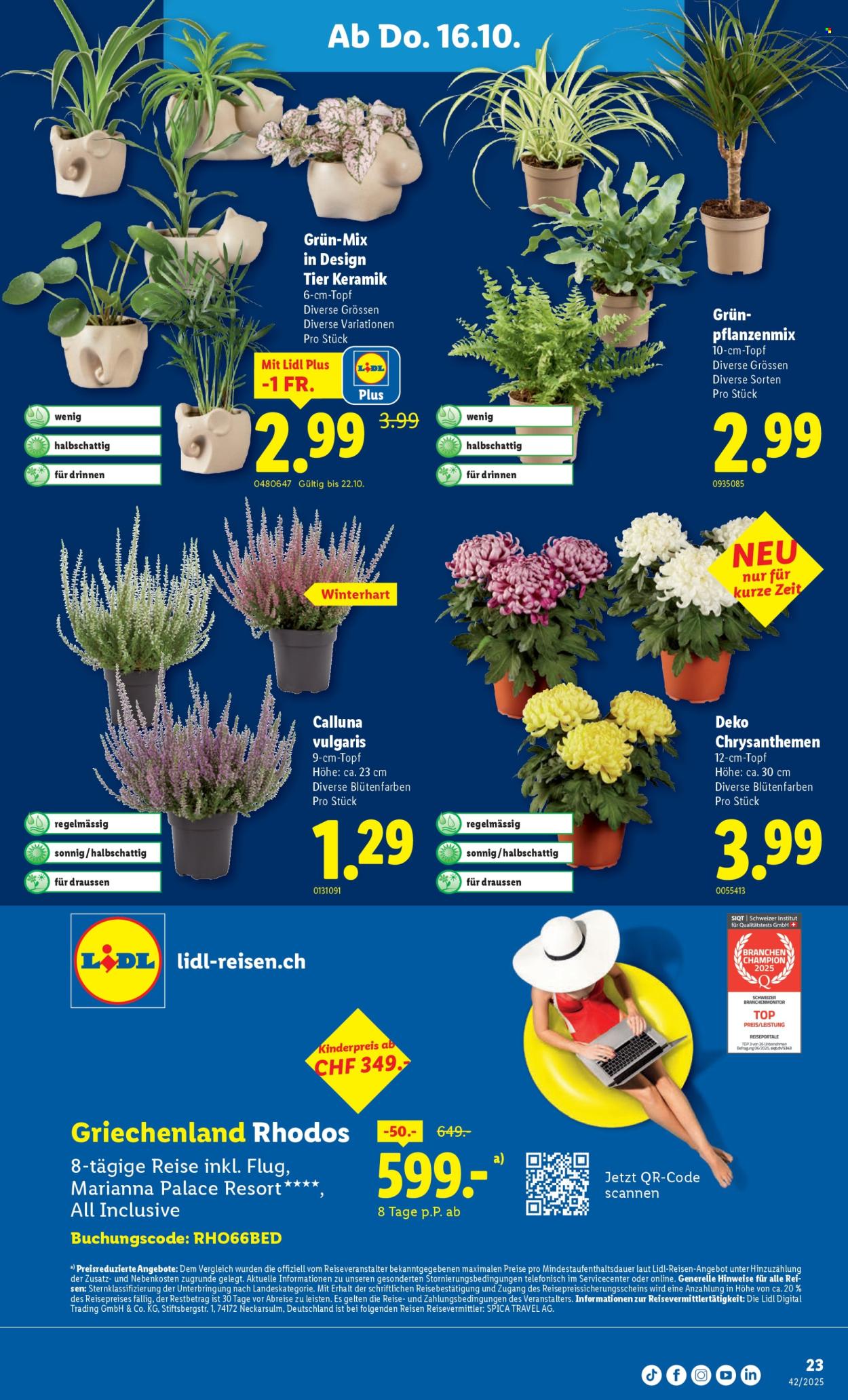Catalogue Lidl - 16.10.2025 - 22.10.2025. Page 23. Page 23