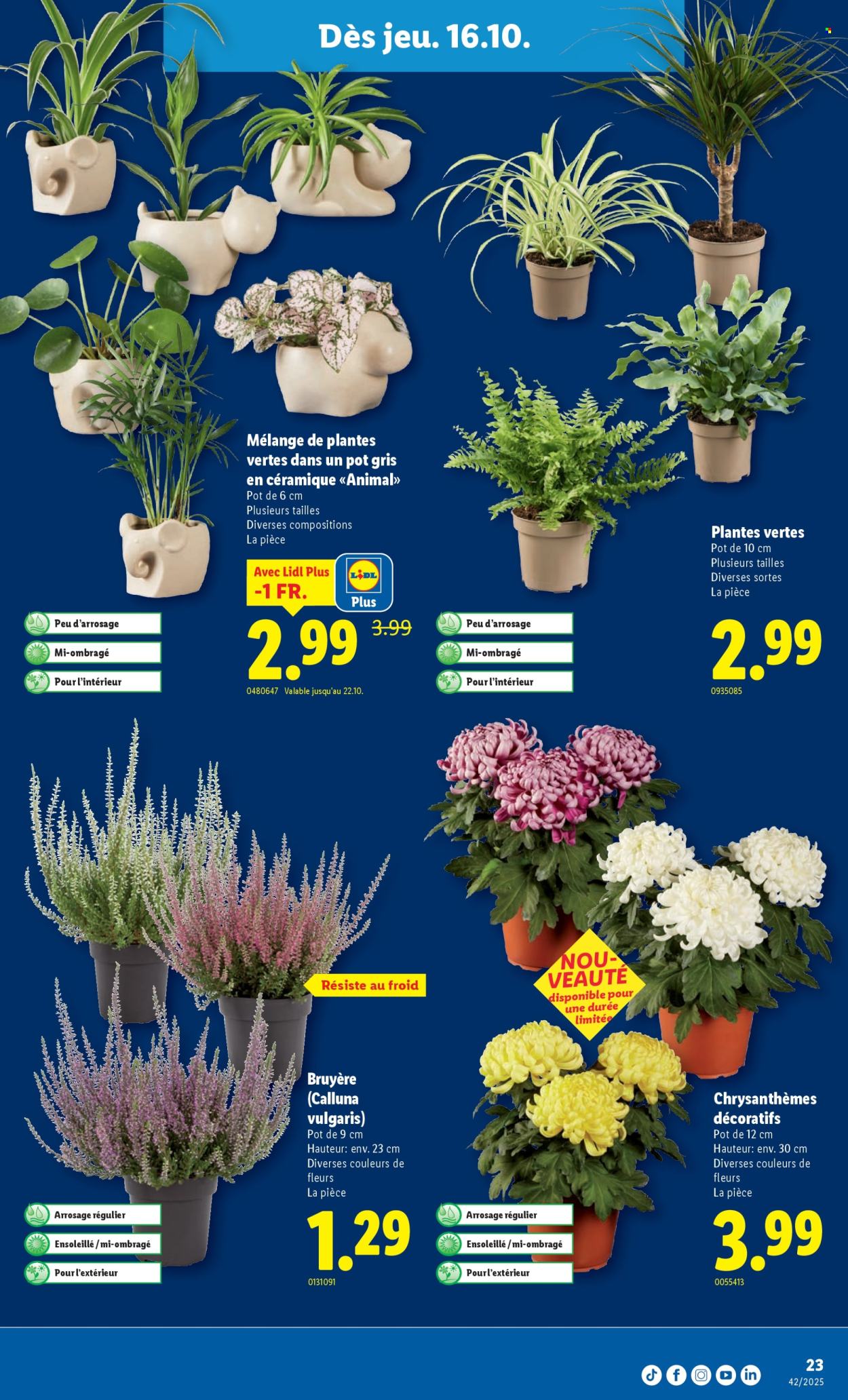 Catalogue Lidl - 16.10.2025 - 22.10.2025. Page 23. Page 23
