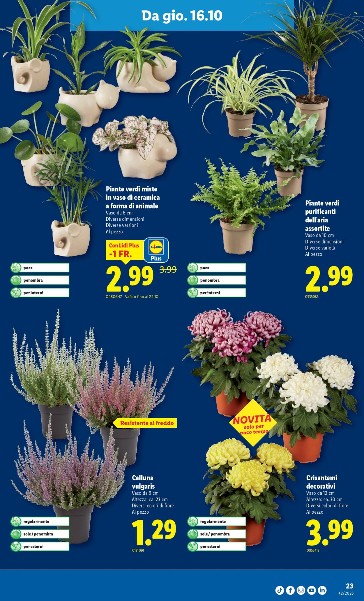 Catalogue Lidl - 16.10.2025 - 22.10.2025. Page 23. Page 23