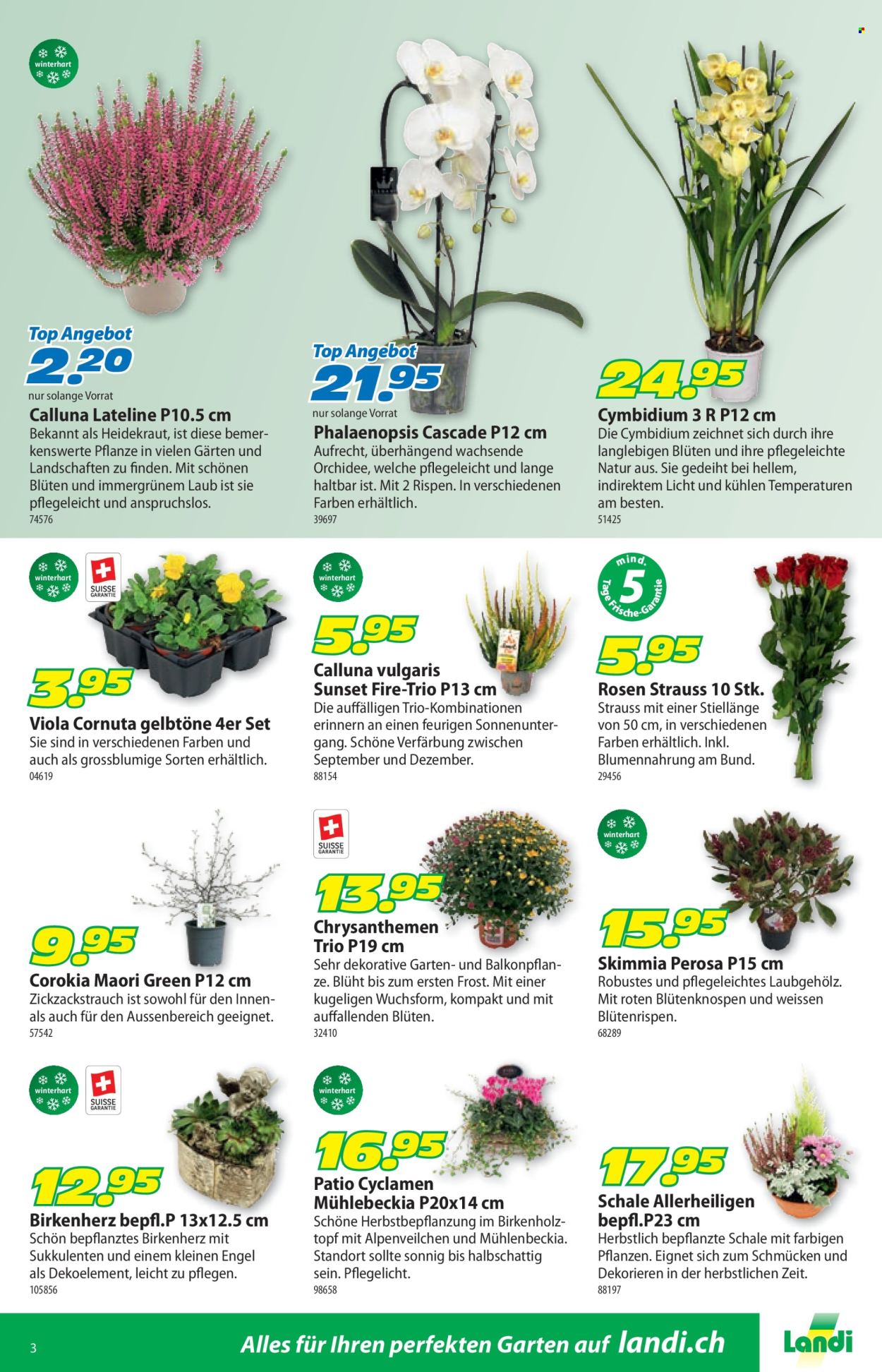 Catalogue Landi - 13.10.2025 - 26.10.2025. Page 3. Page 3