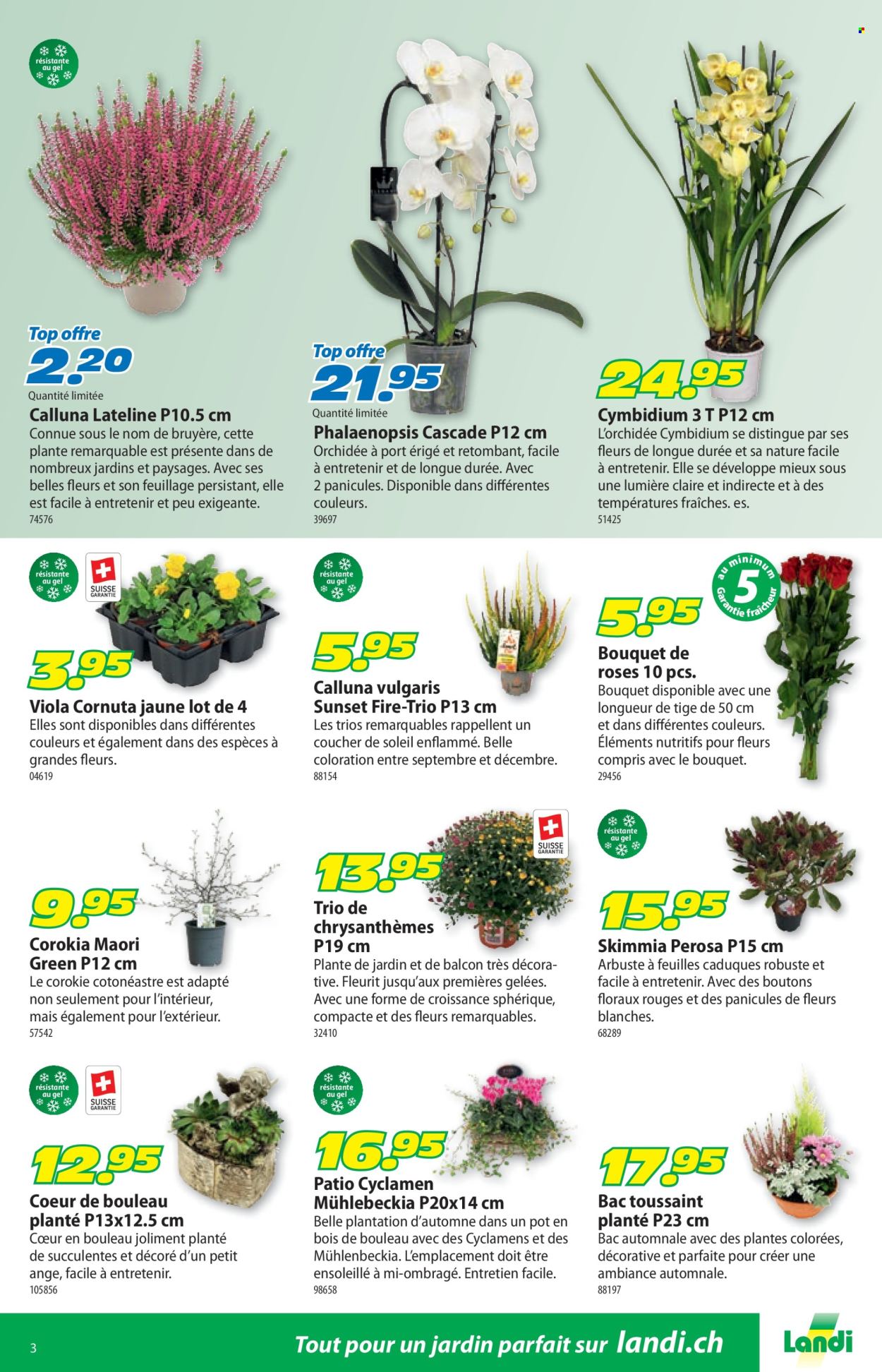Catalogue Landi - 13.10.2025 - 26.10.2025. Page 3. Page 3