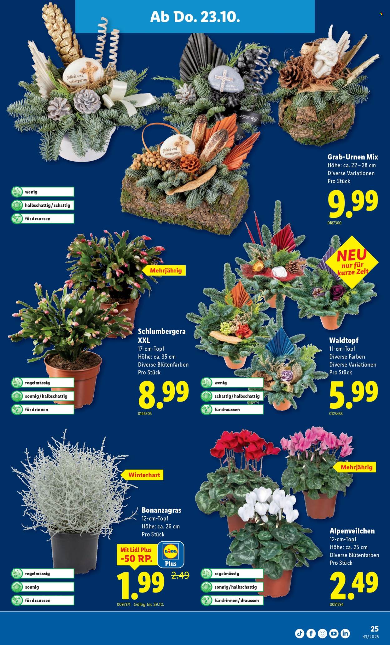 Catalogue Lidl - 23.10.2025 - 29.10.2025. Page 25. Page 25