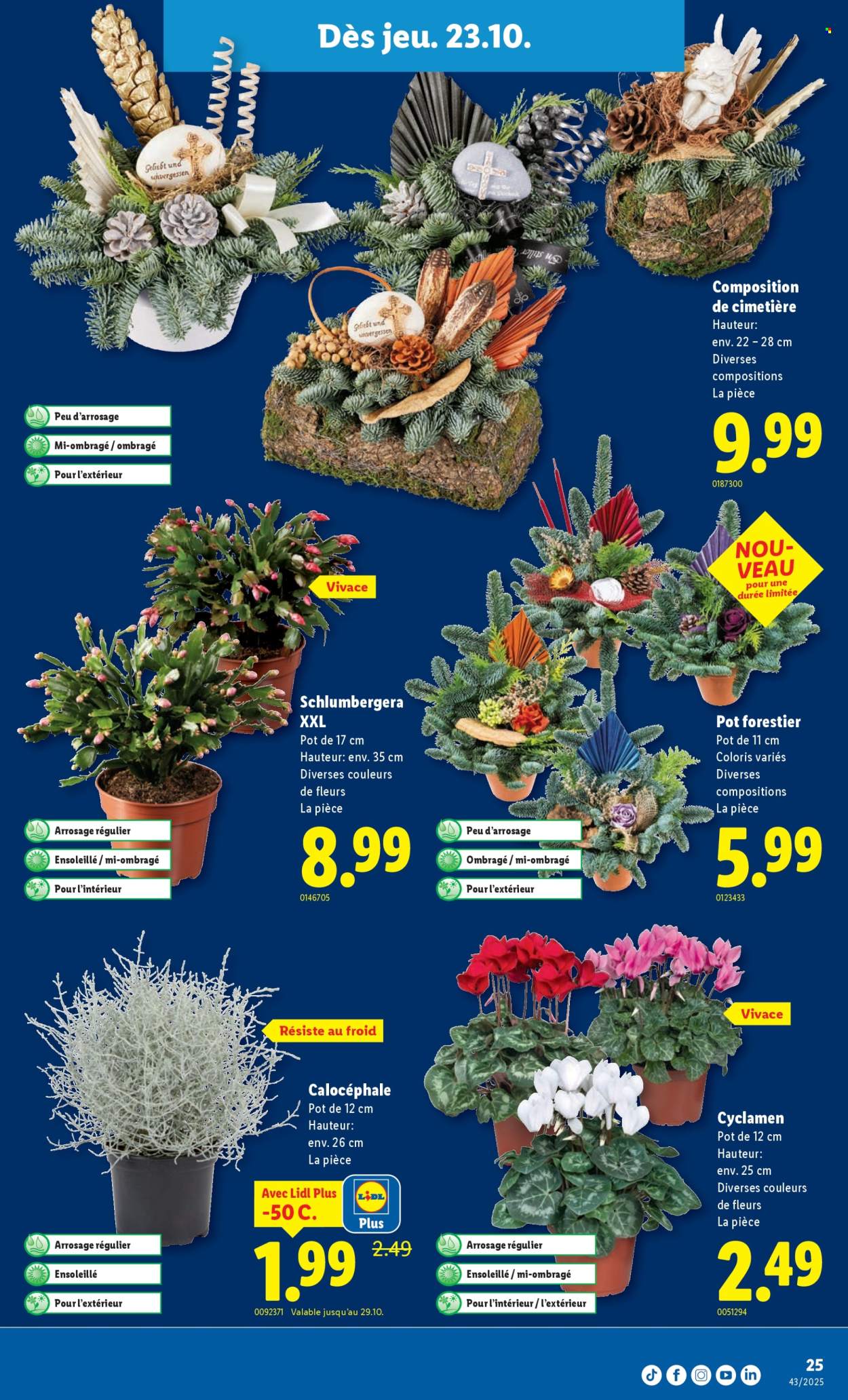 Catalogue Lidl - 23.10.2025 - 29.10.2025. Page 25. Page 25