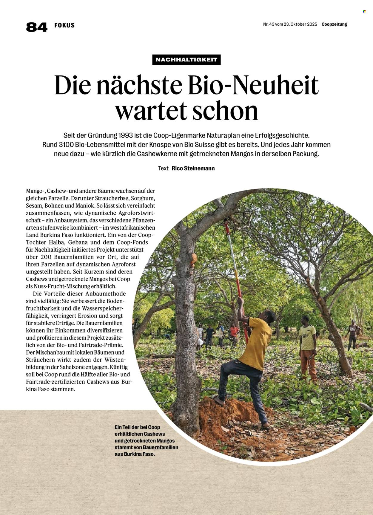 Catalogue Coop - 23.10.2025 - 29.10.2025. Page 84. Page 84