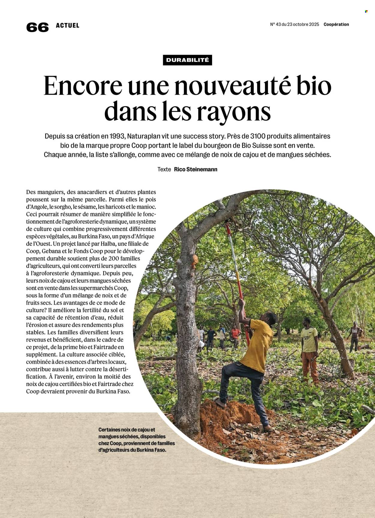 Catalogue Coop - 23.10.2025 - 29.10.2025. Page 66. Page 66