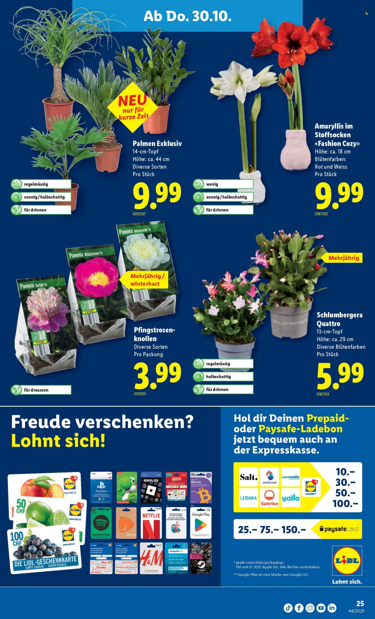 Catalogue Lidl - 30.10.2025 - 5.11.2025. Page 25. Page 25