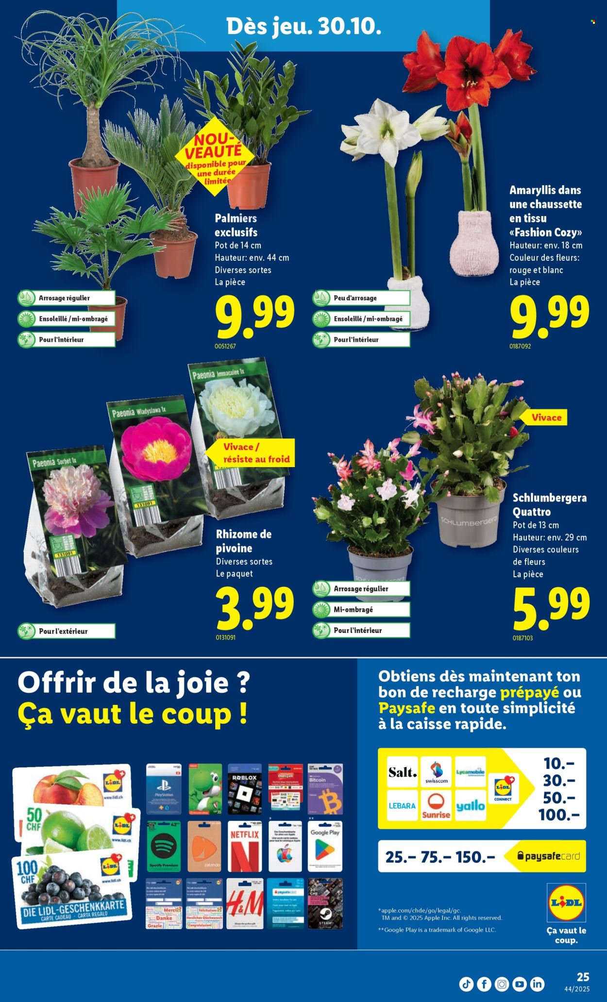 Catalogue Lidl - 30.10.2025 - 5.11.2025. Page 25. Page 25
