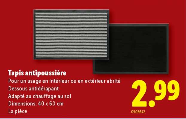 Tapis antipoussière