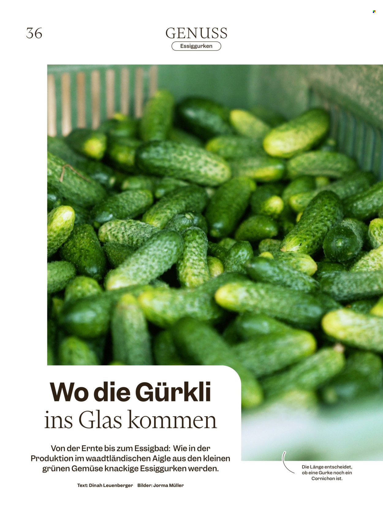 Catalogue Migros - 28.10.2025 - 3.11.2025. Page 36. Page 36