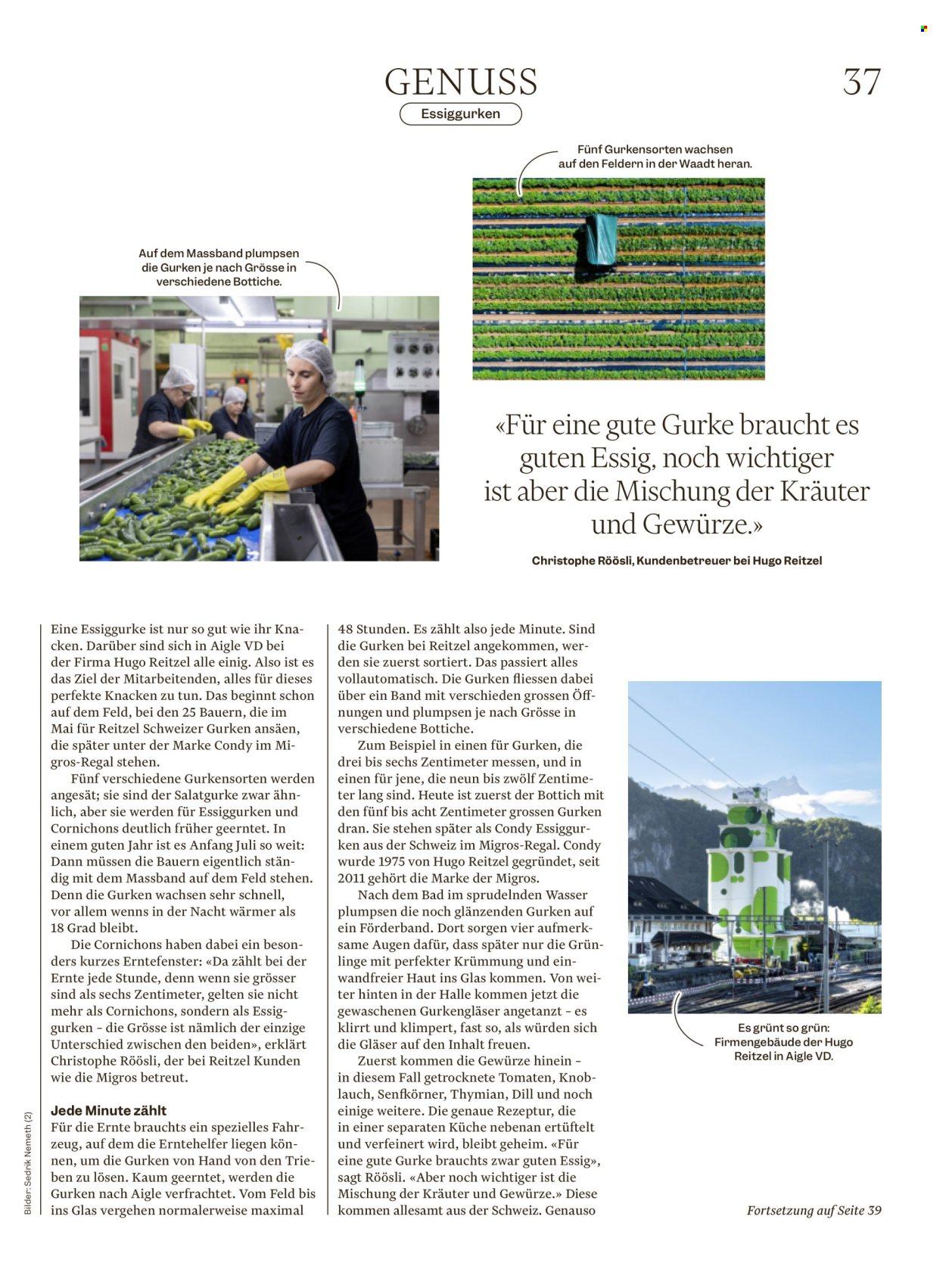 Catalogue Migros - 28.10.2025 - 3.11.2025. Page 37. Page 37