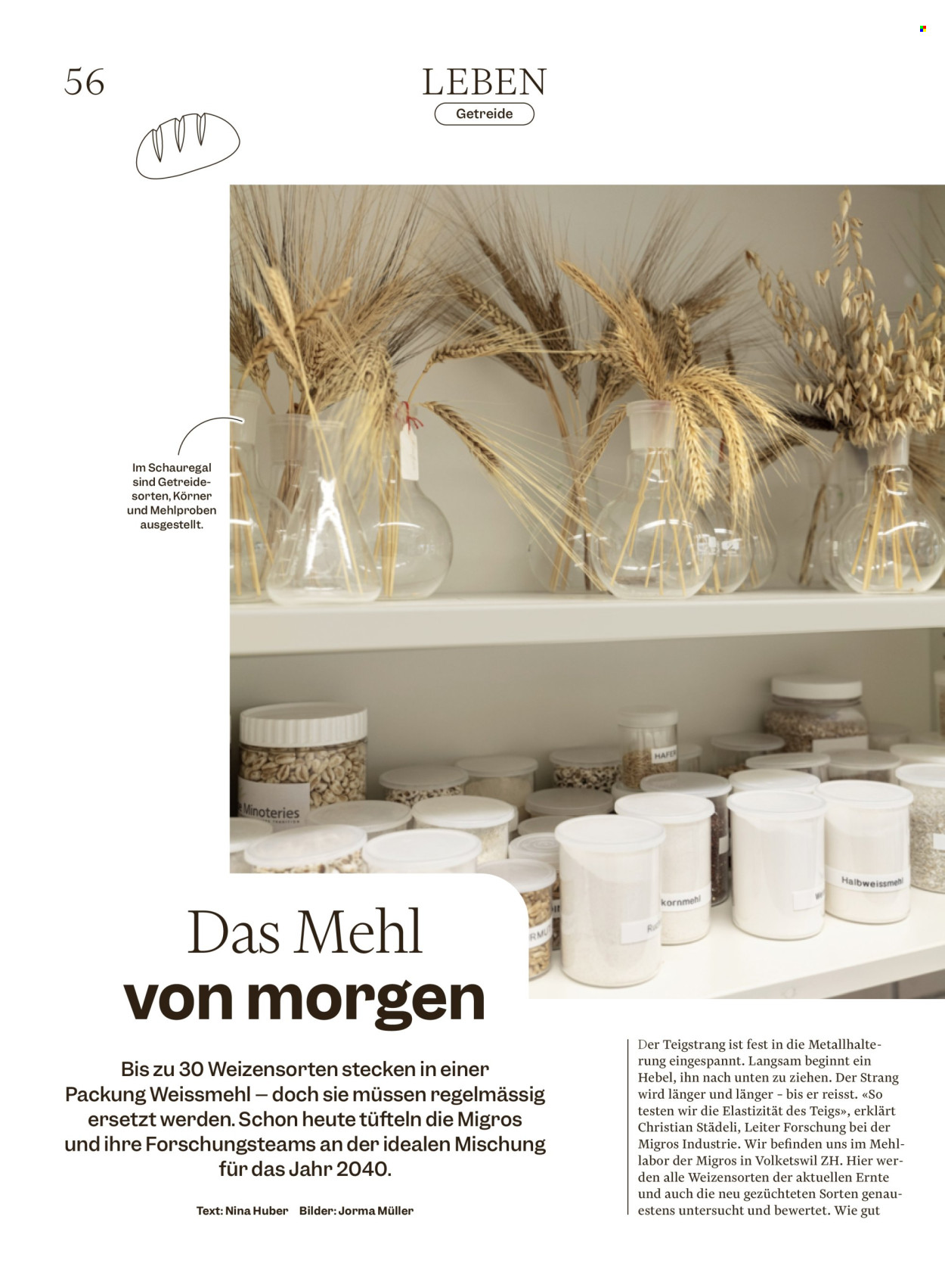 Catalogue Migros - 28.10.2025 - 3.11.2025. Page 56. Page 56