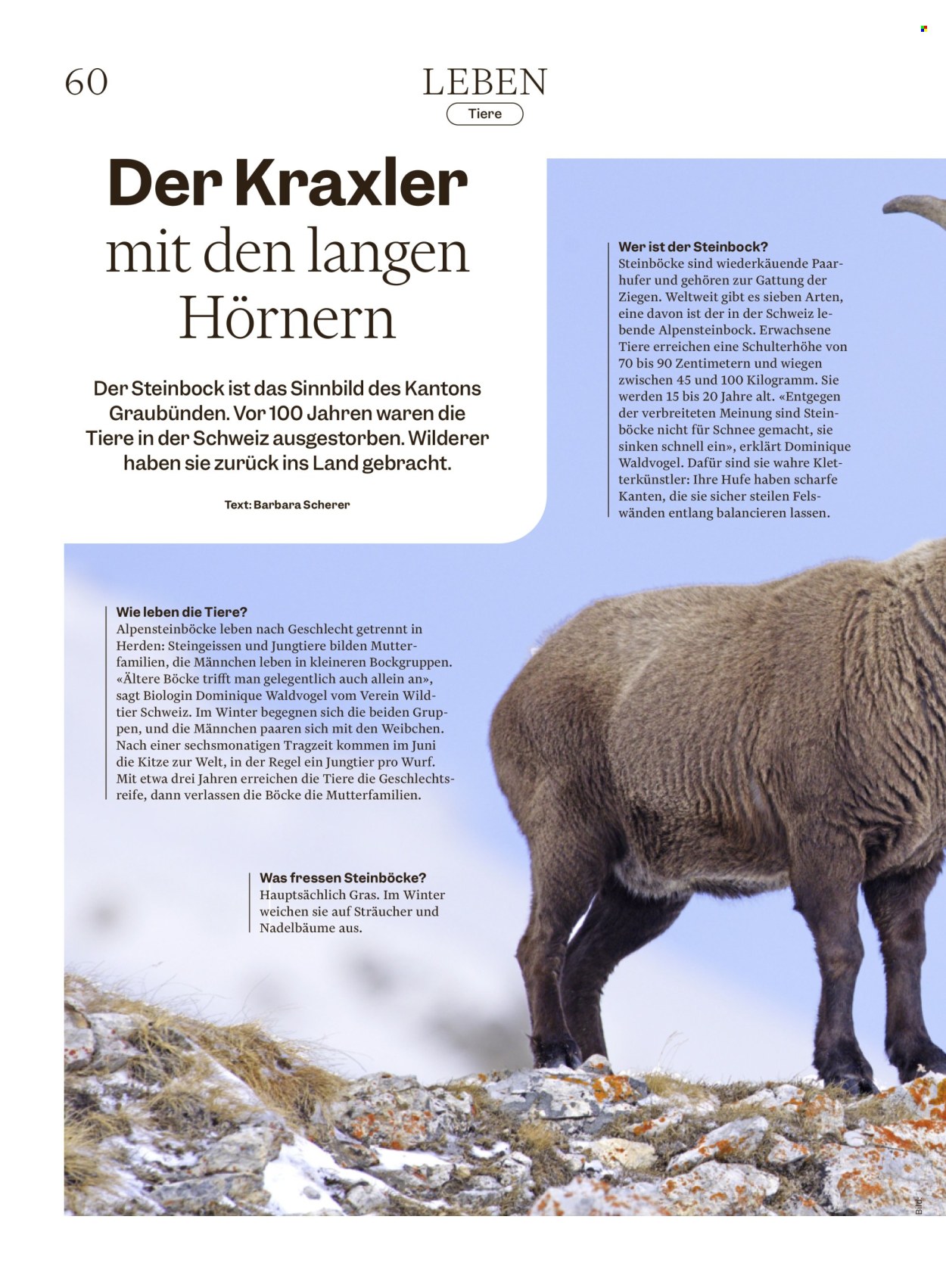 Catalogue Migros - 28.10.2025 - 3.11.2025. Page 60. Page 60