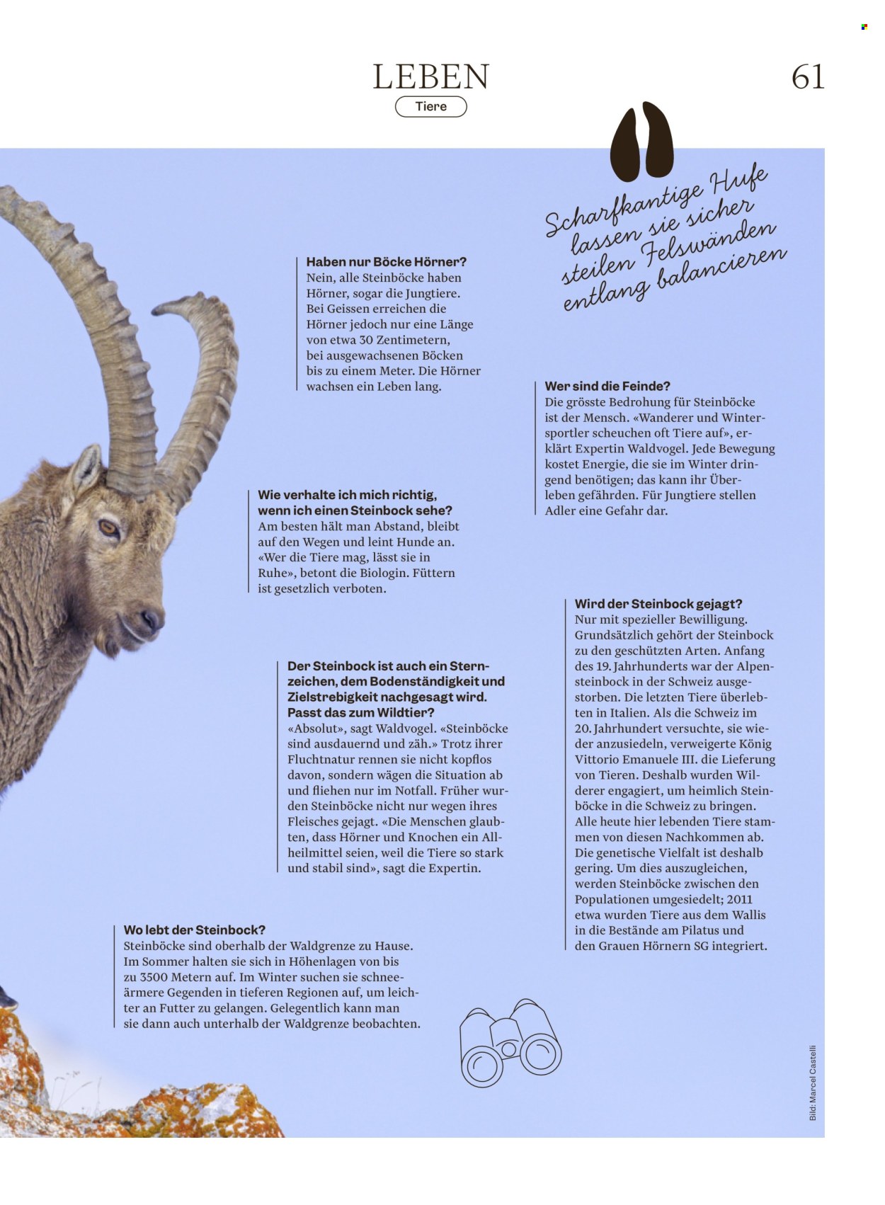 Catalogue Migros - 28.10.2025 - 3.11.2025. Page 61. Page 61