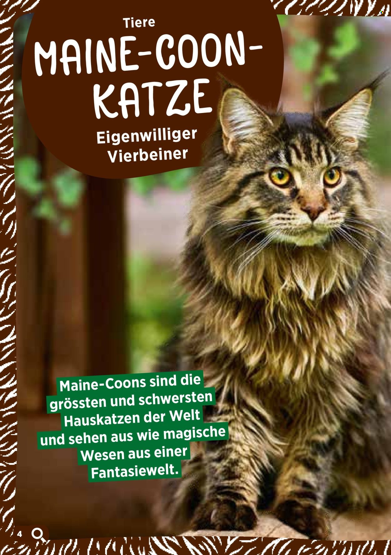 Catalogue Volg. Page 6. Page 6