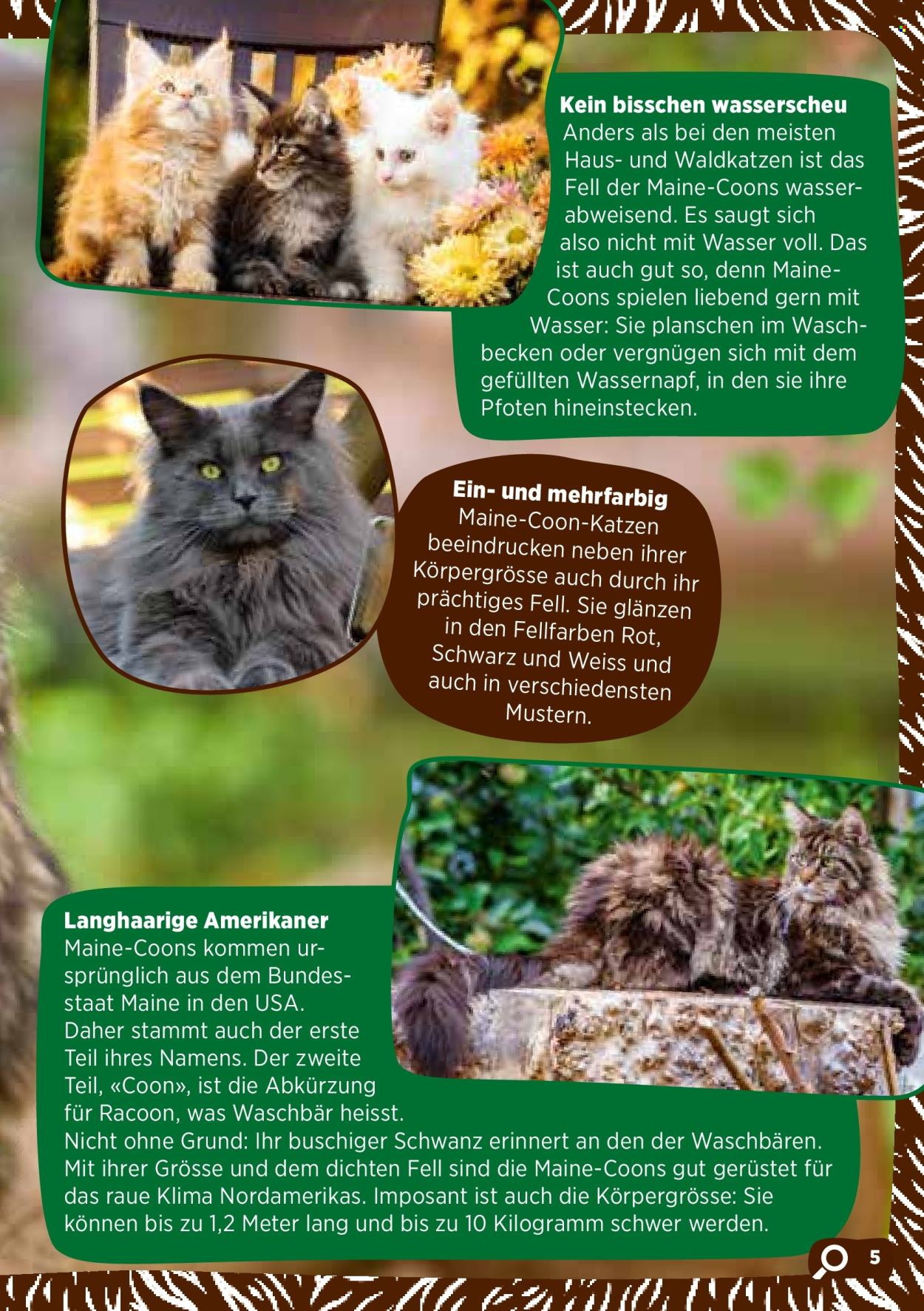 Catalogue Volg. Page 7. Page 7