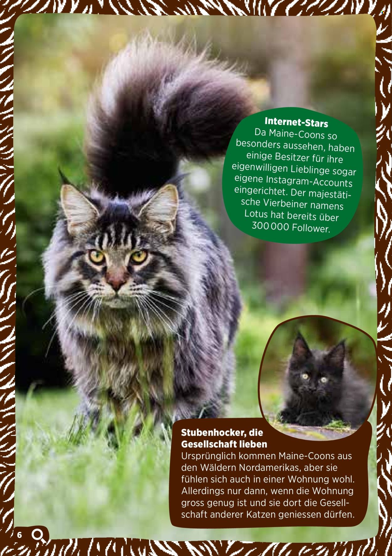 Catalogue Volg. Page 8. Page 8