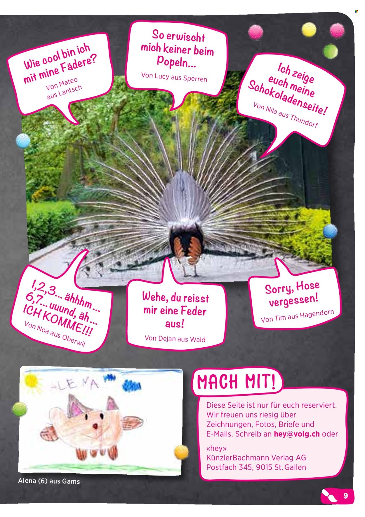 Catalogue Volg. Page 11. Page 11