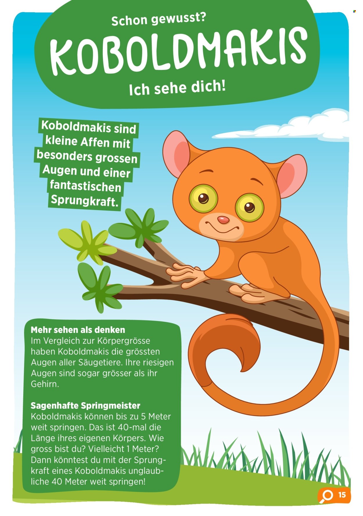 Catalogue Volg. Page 17. Page 17