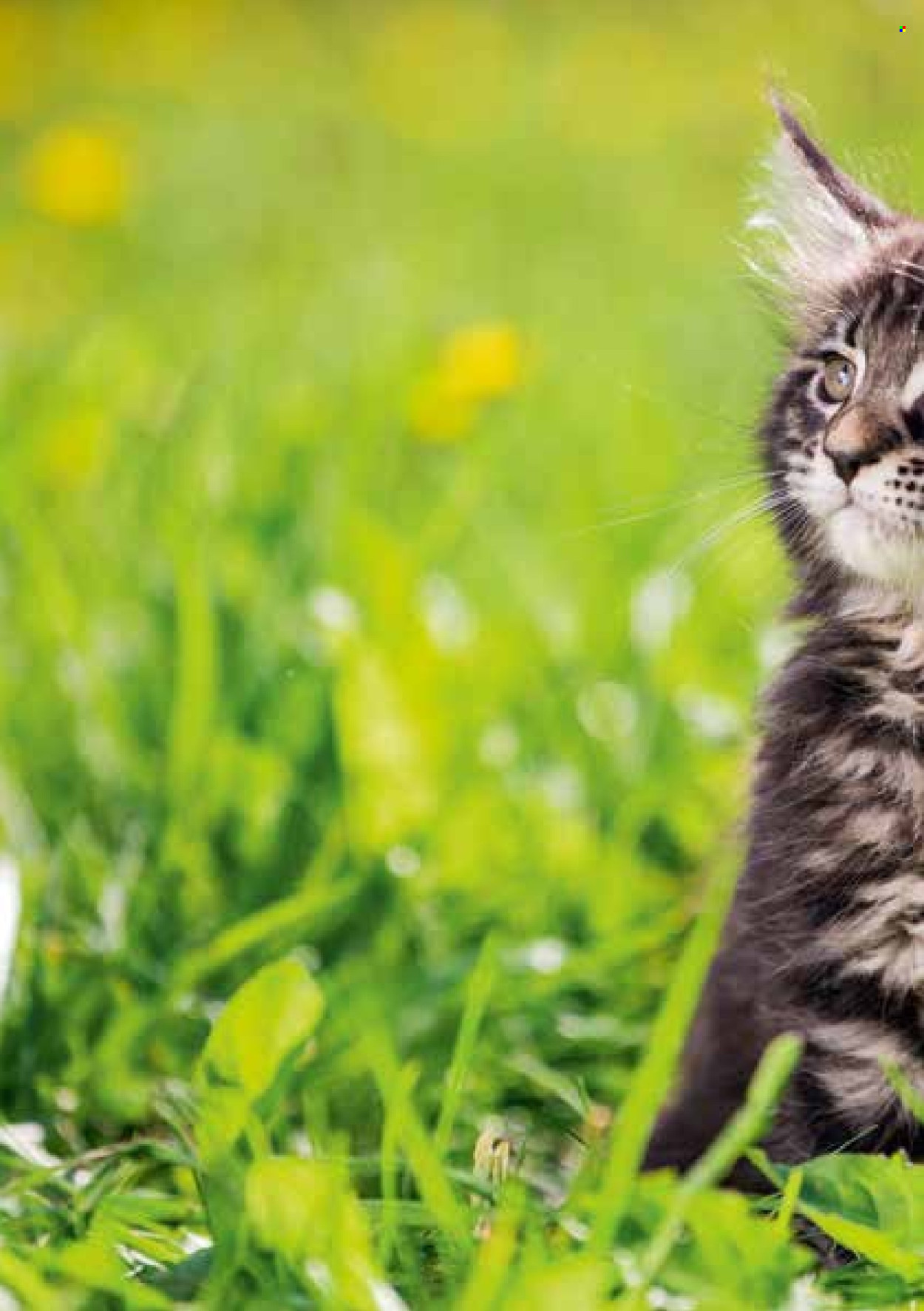 Catalogue Volg. Page 20. Page 20