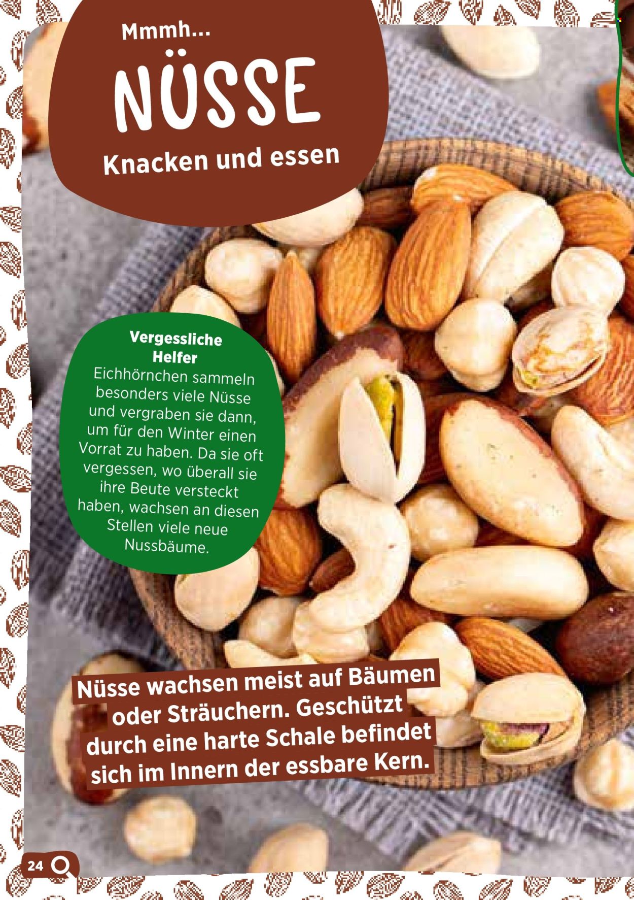 Catalogue Volg. Page 26. Page 26