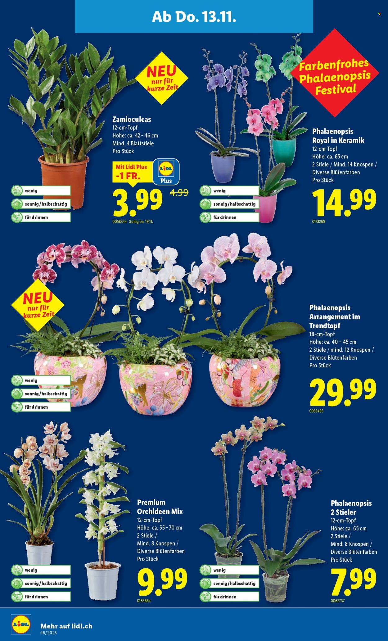 Catalogue Lidl - 13.11.2025 - 19.11.2025. Page 24. Page 24