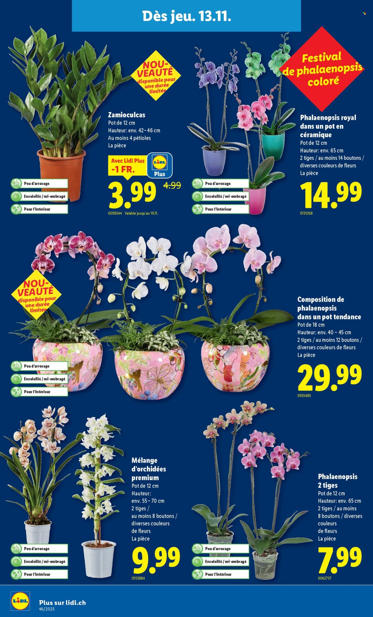 Catalogue Lidl - 13.11.2025 - 19.11.2025. Page 24. Page 24