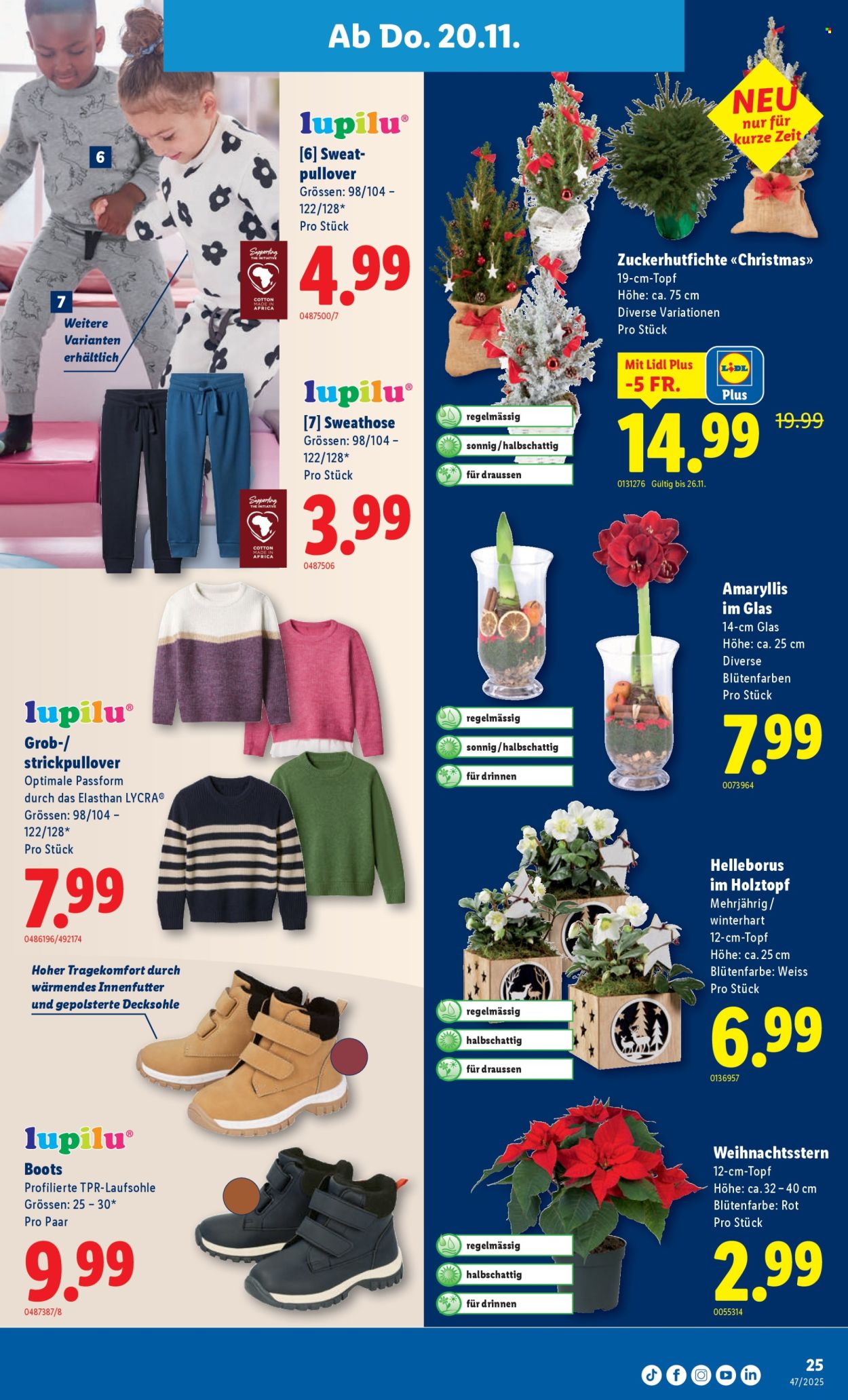 Catalogue Lidl - 20.11.2025 - 26.11.2025. Page 25. Page 25