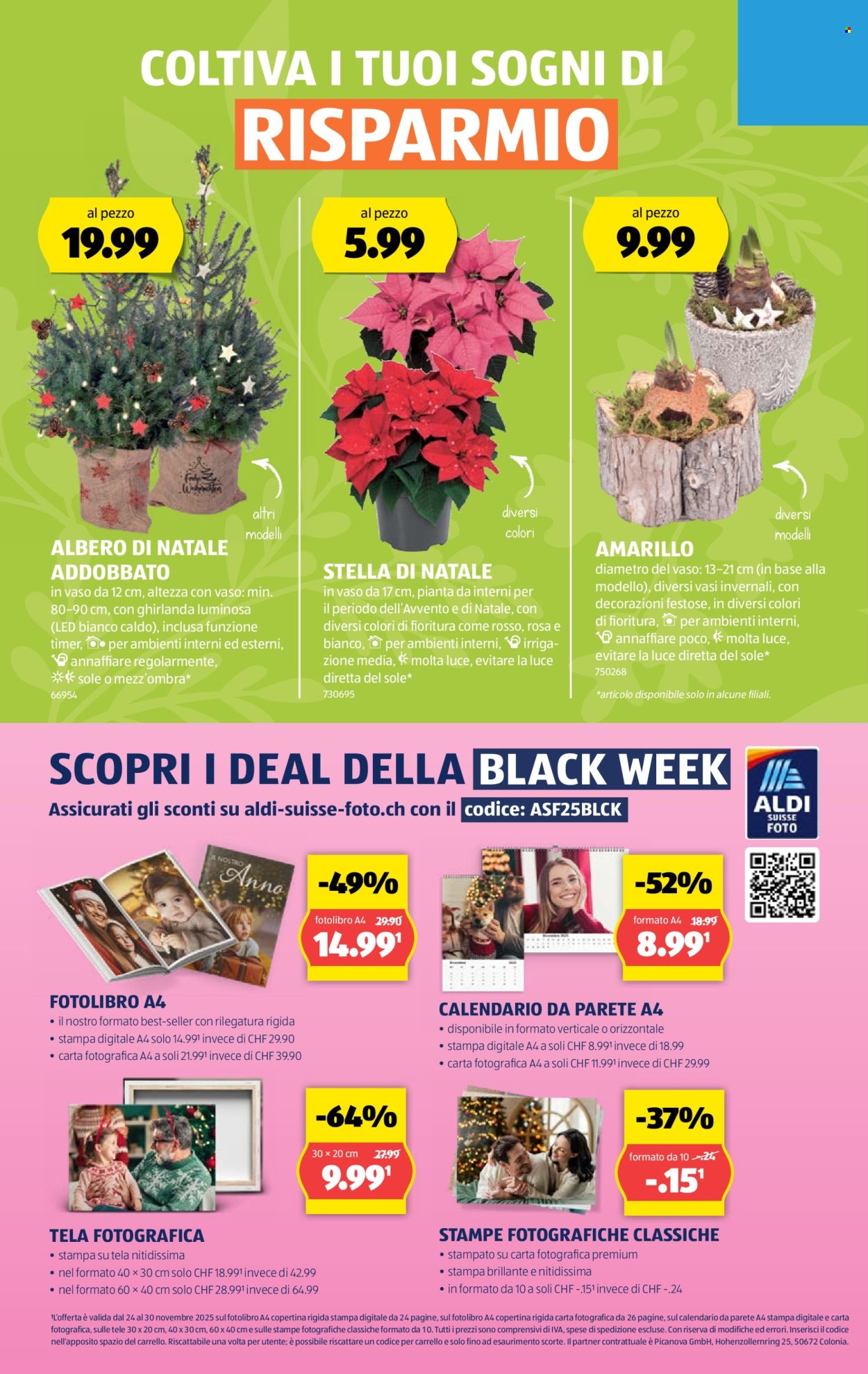 Catalogue Aldi - 27.11.2025 - 3.12.2025. Page 19. Page 19