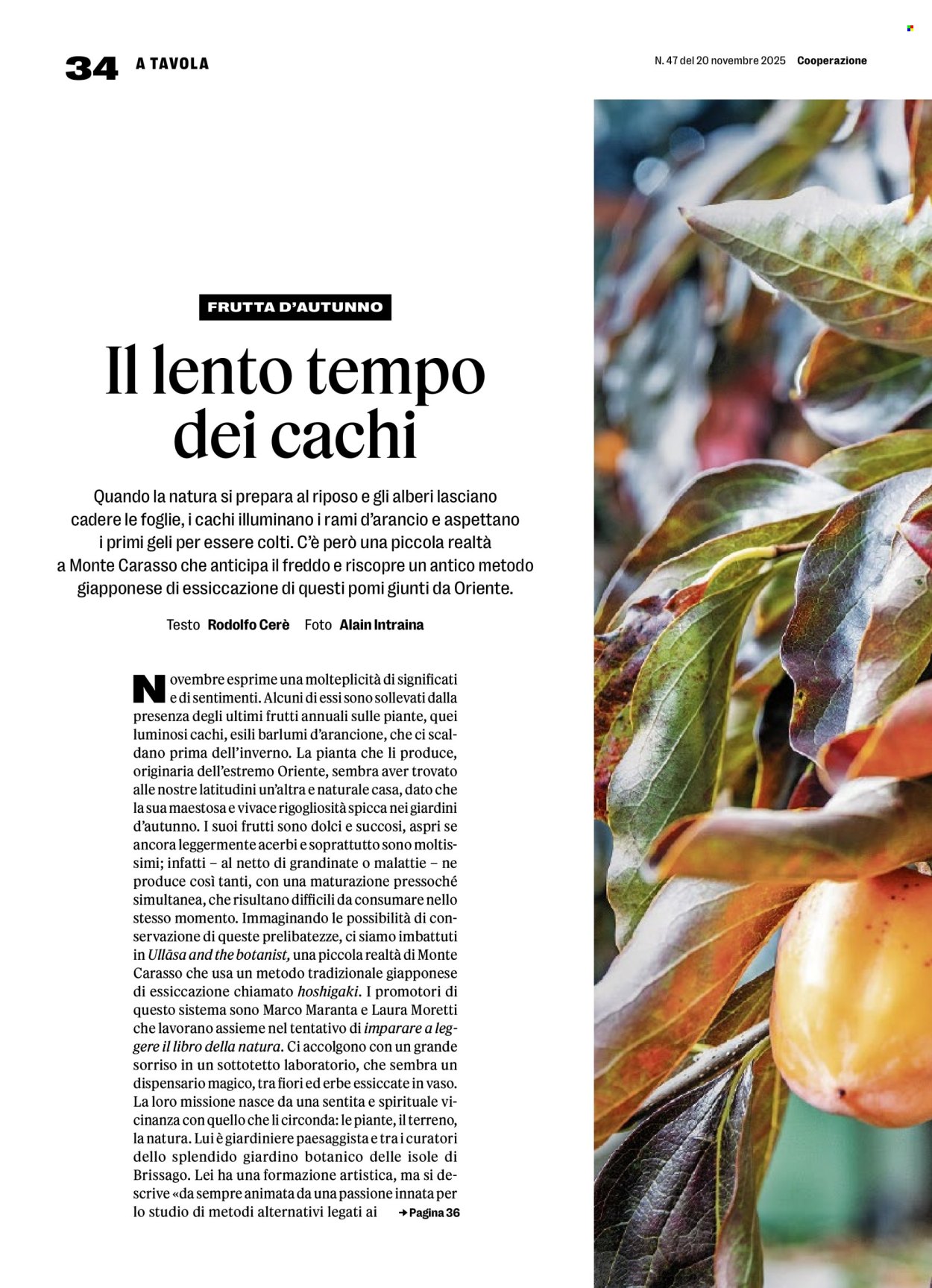 Catalogue Prodega - 24.11.2025 - 29.11.2025. Page 34. Page 34