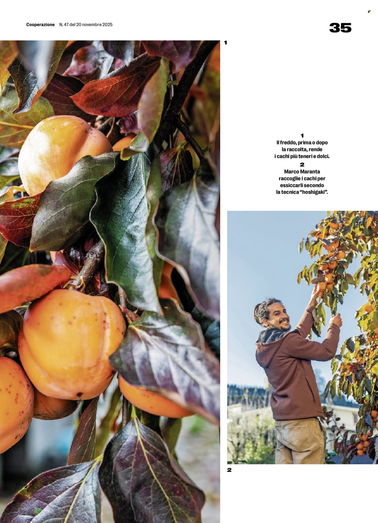 Catalogue Prodega - 24.11.2025 - 29.11.2025. Page 35. Page 35