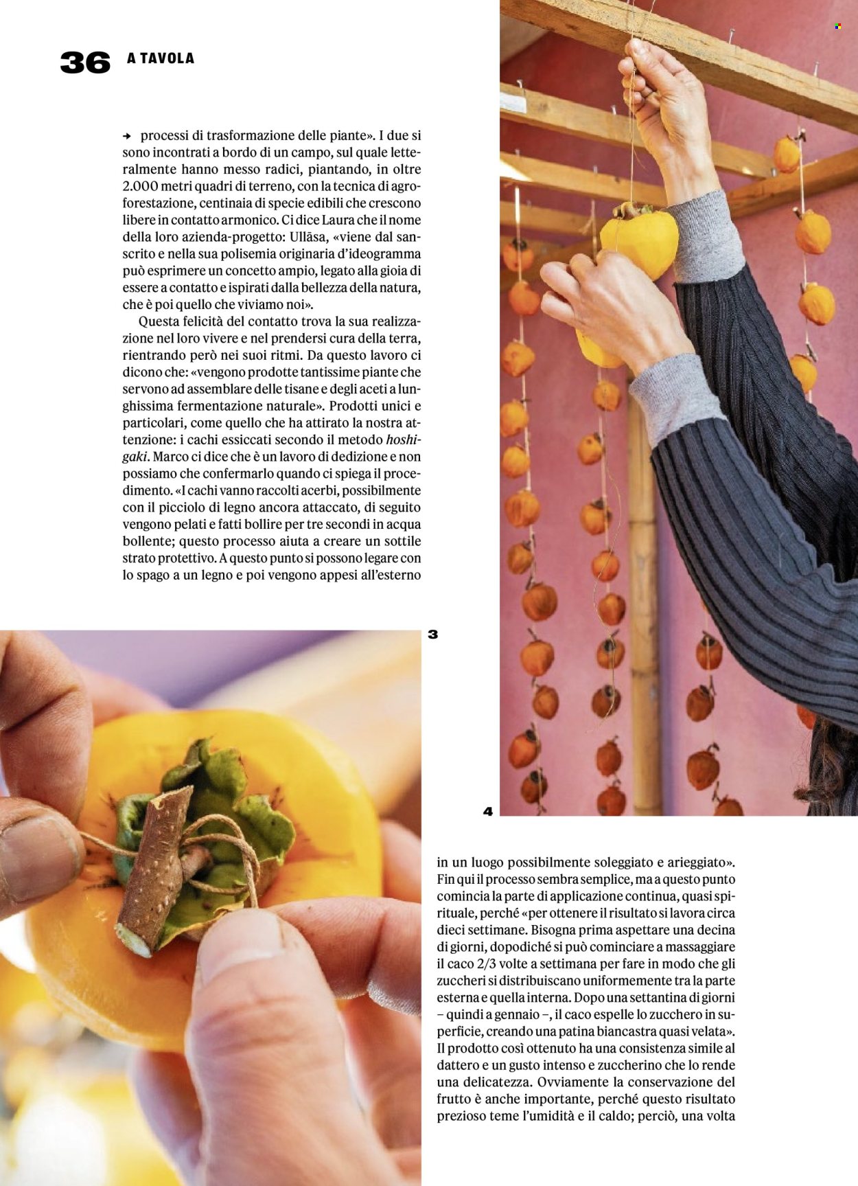 Catalogue Prodega - 24.11.2025 - 29.11.2025. Page 36. Page 36